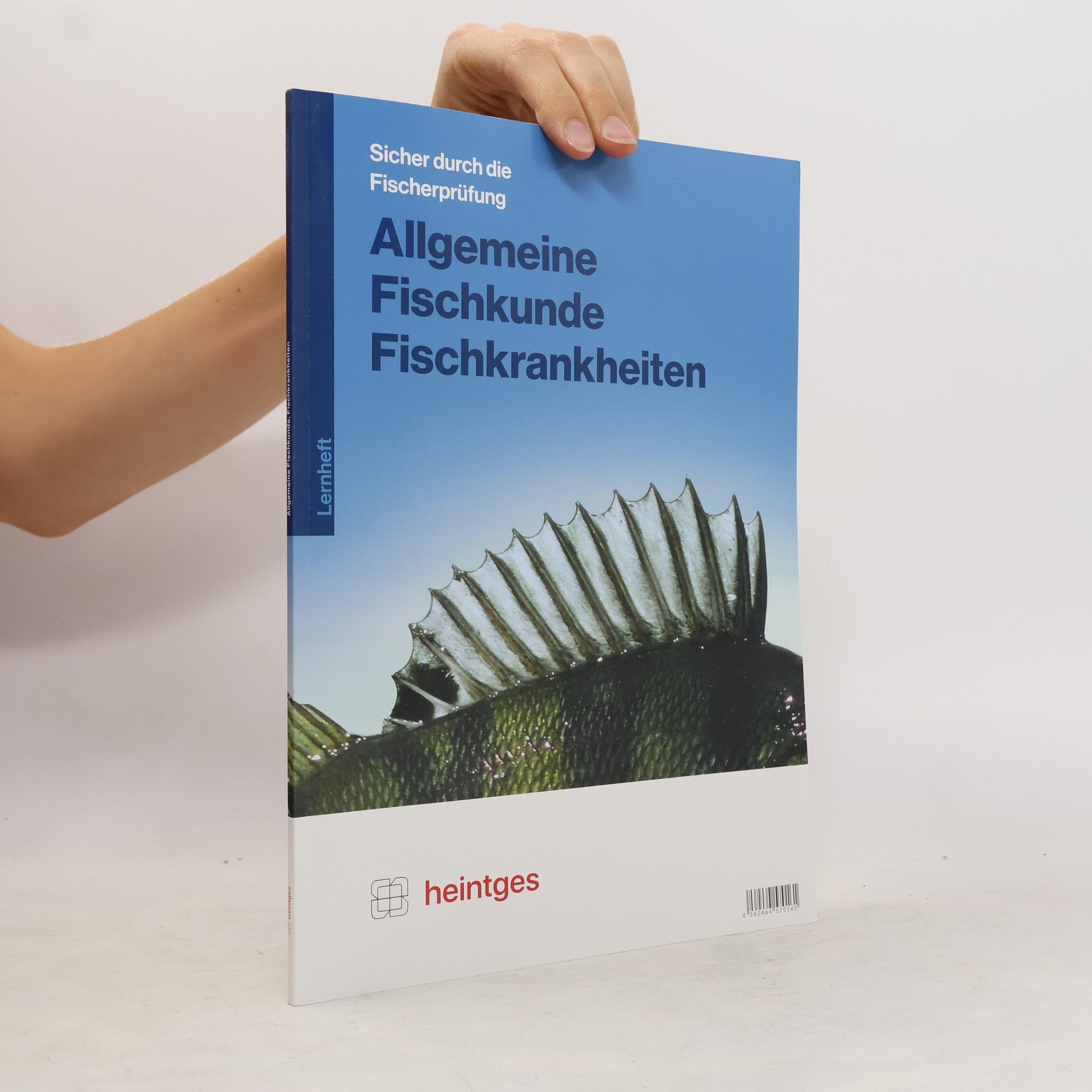 Heintges Lehr- Und Lernsystem Gmbh Allgemeine Fischkunde, Fischkrankheiten