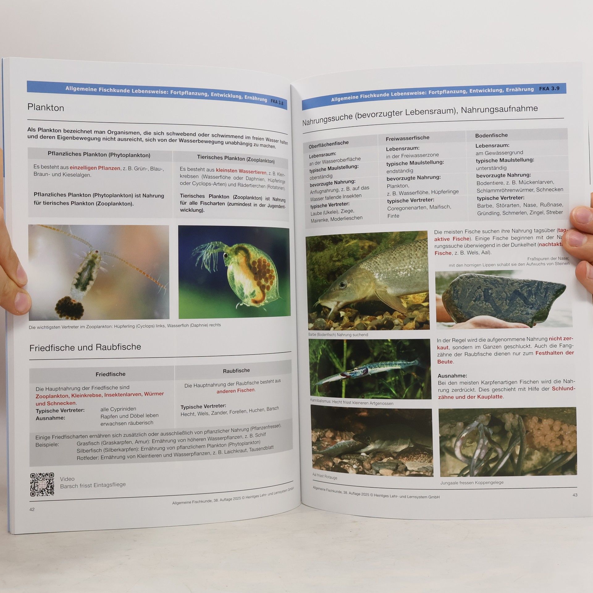 Heintges Lehr- Und Lernsystem Gmbh Allgemeine Fischkunde, Fischkrankheiten