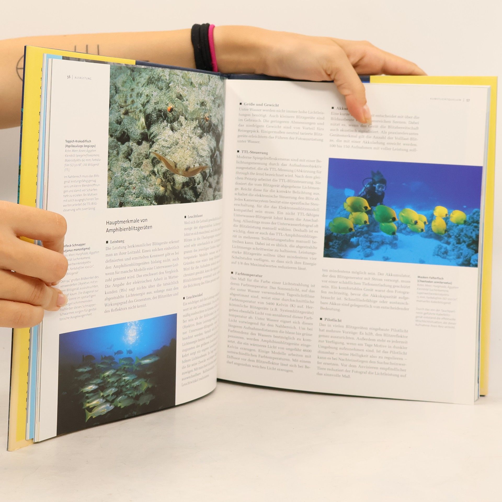 Dietmar Reimer Unterwasser-Fotografie