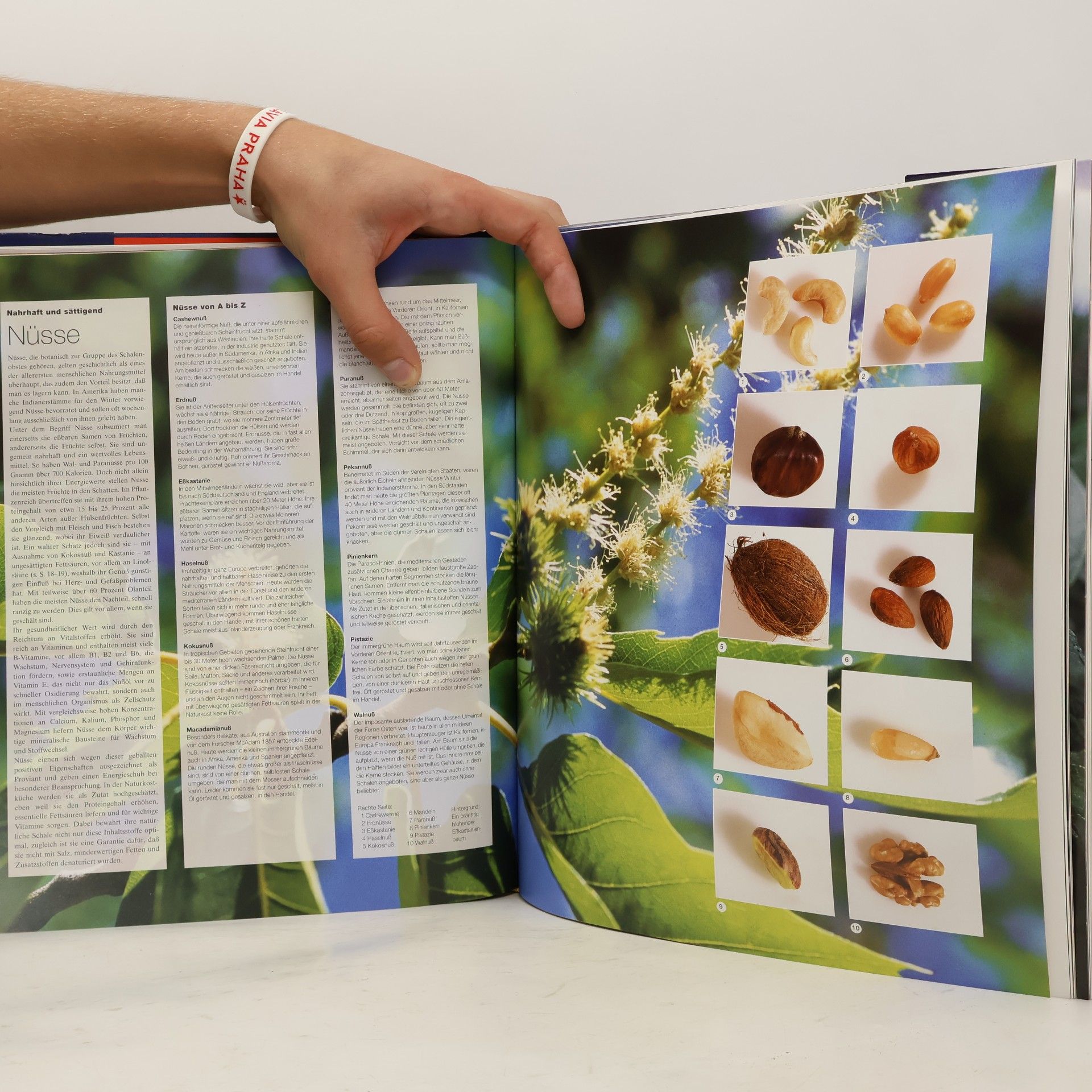 Autorenkollektiv Culinaria Naturkost I.-II. (2 Bände)