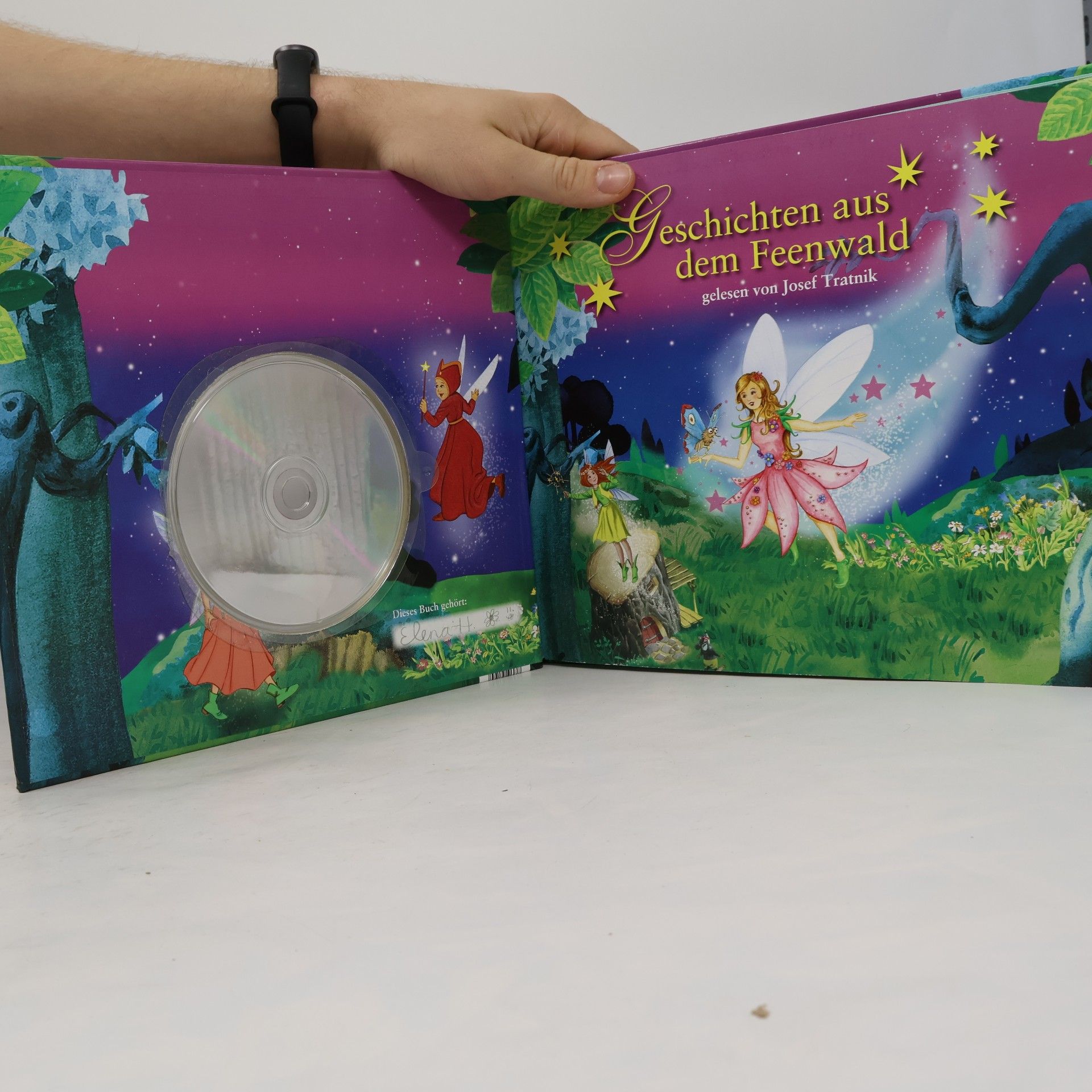 Kolektiv autorů Träum schön mit... Geschichten aus dem Feenwald