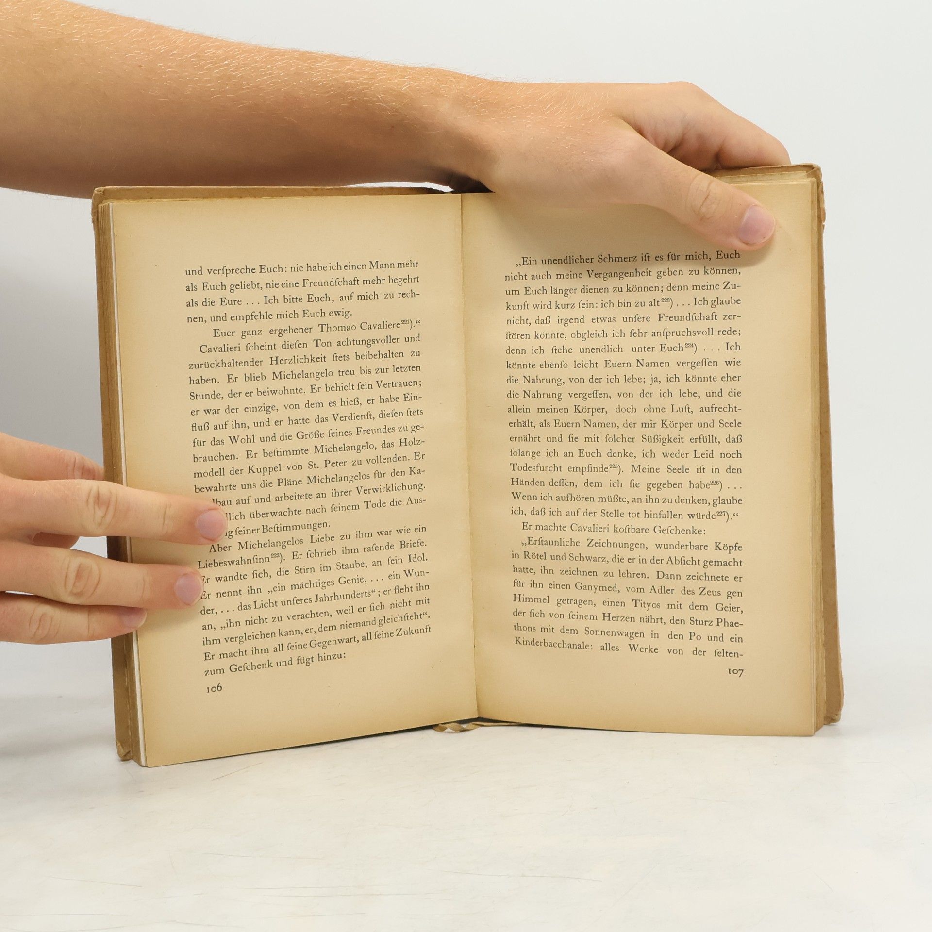 Romain Rolland Das Leben Michelangelos