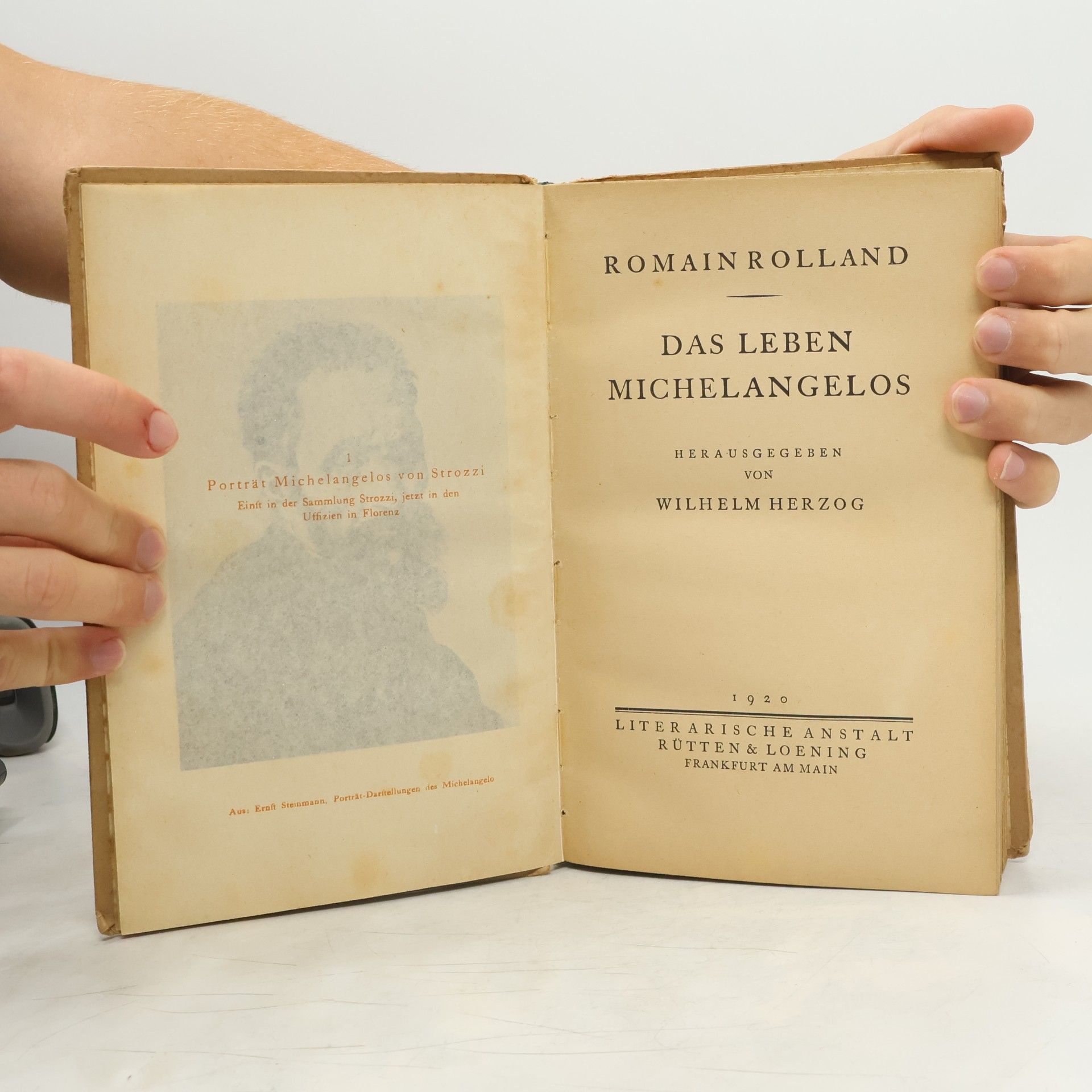Romain Rolland Das Leben Michelangelos