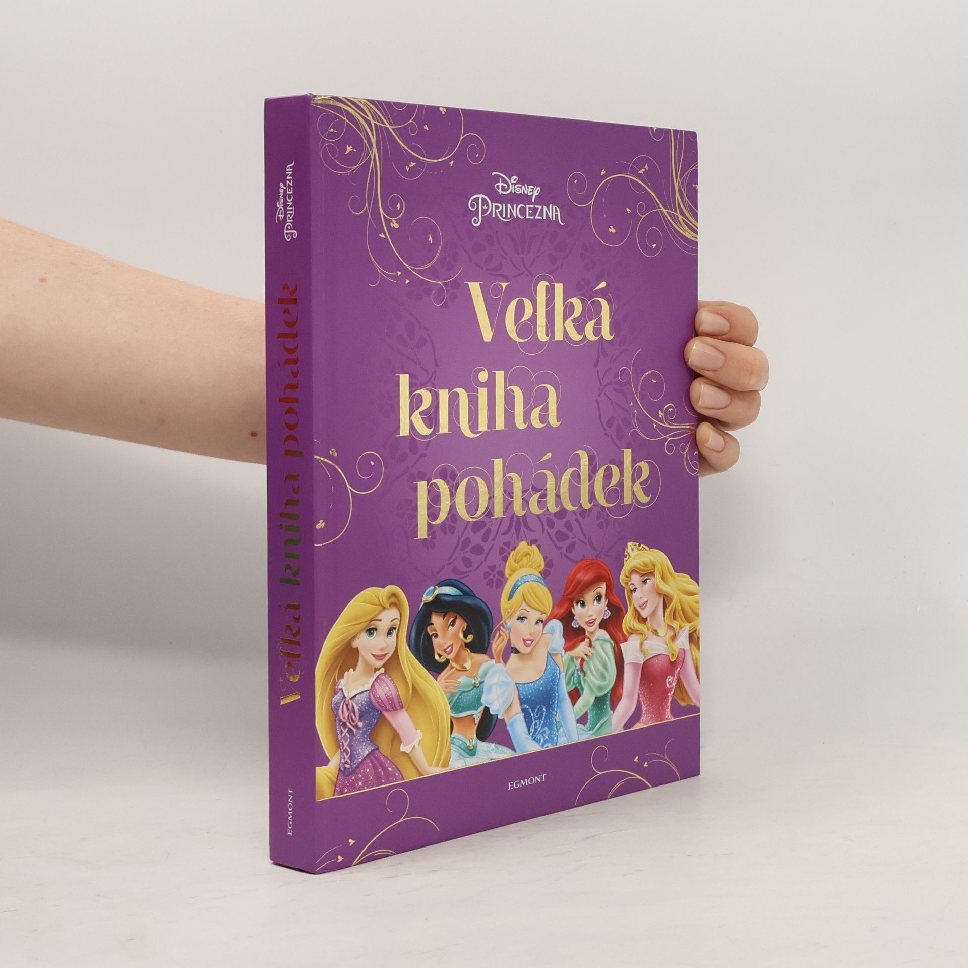Various authors Velká kniha pohádek - princezna