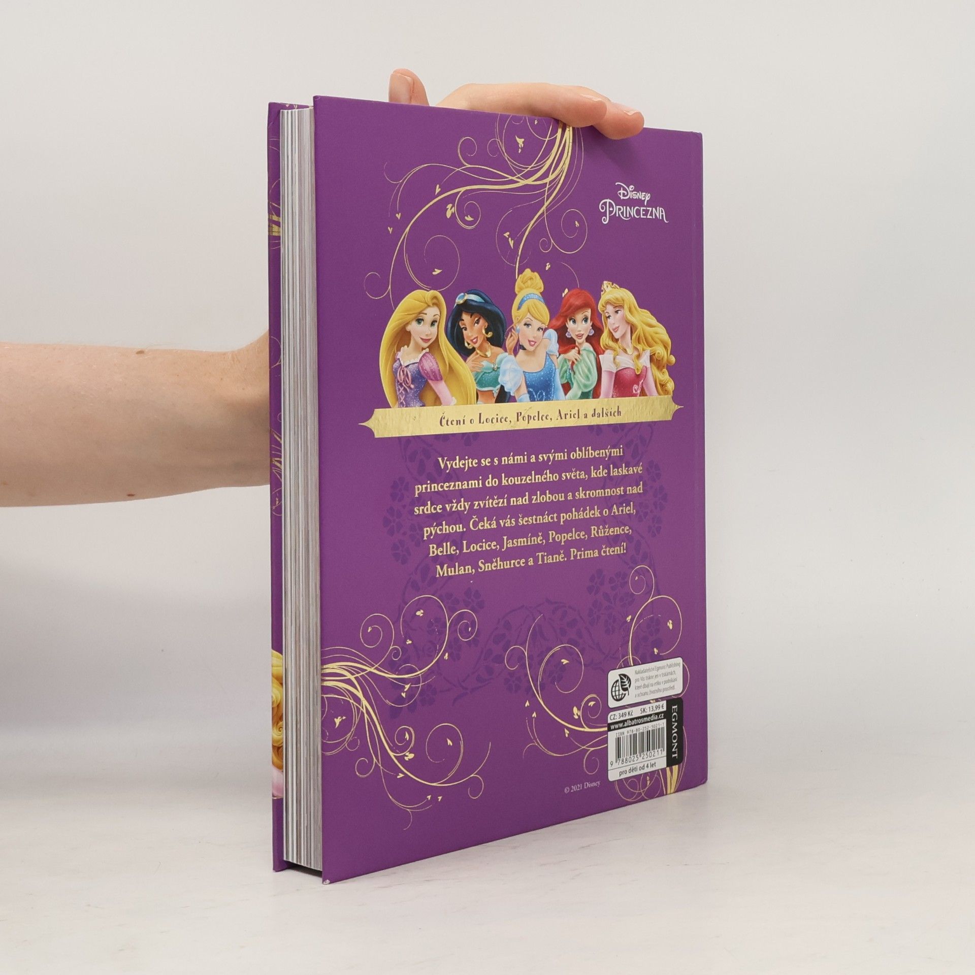 Autorenkollektiv Velká kniha pohádek - princezna