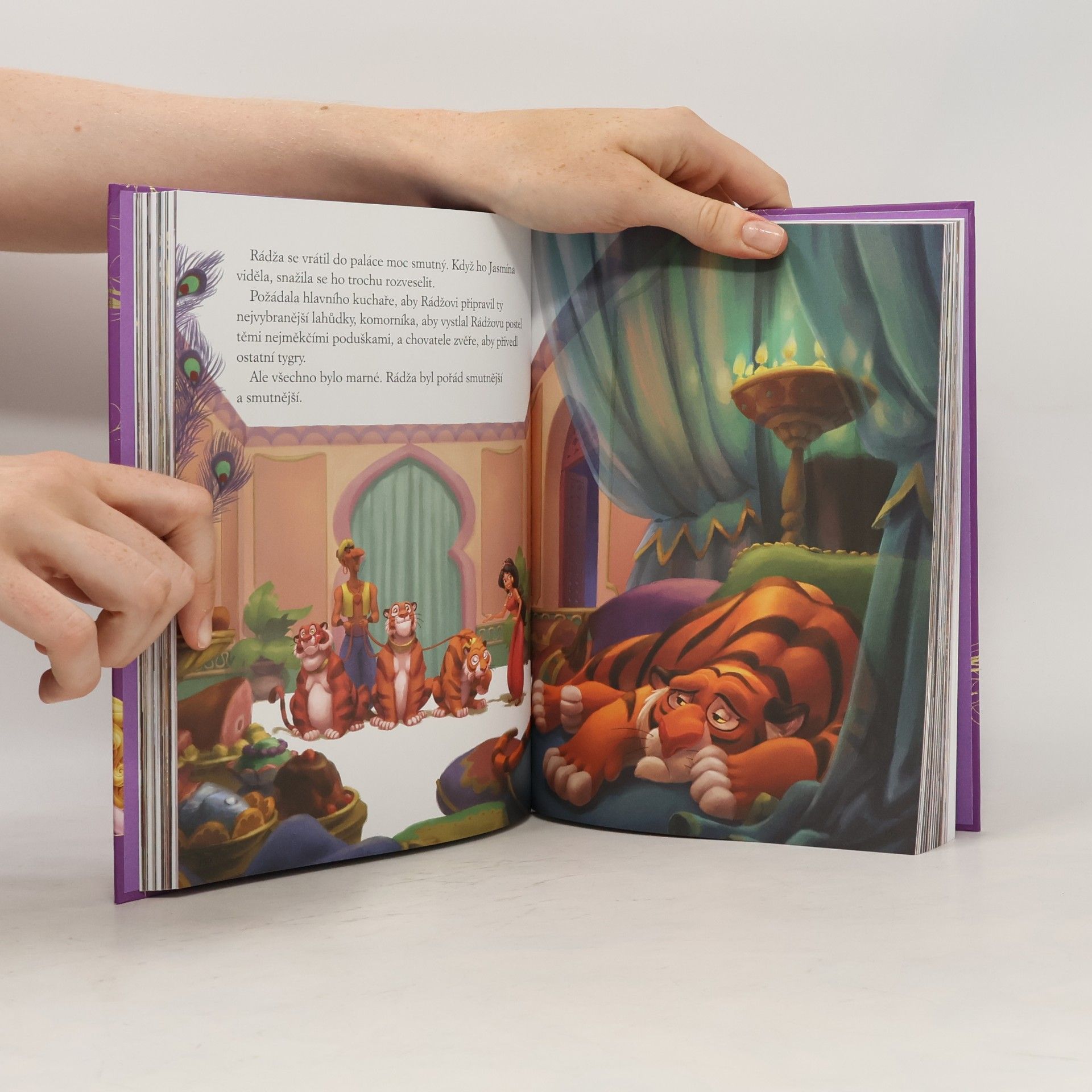 Autorenkollektiv Velká kniha pohádek - princezna