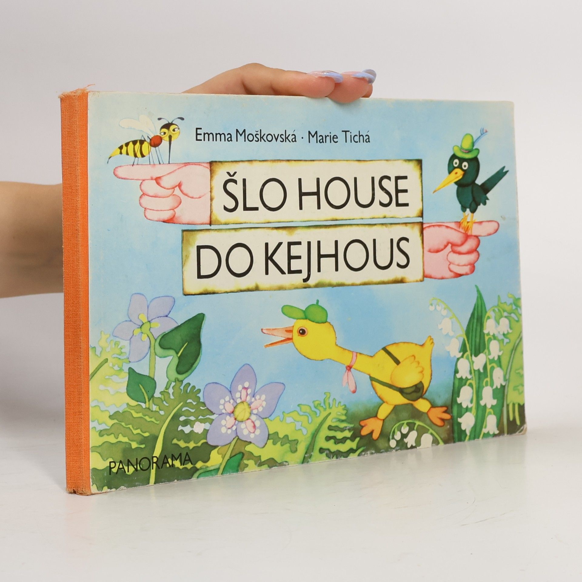 Marie Tichá Šlo house do Kejhous