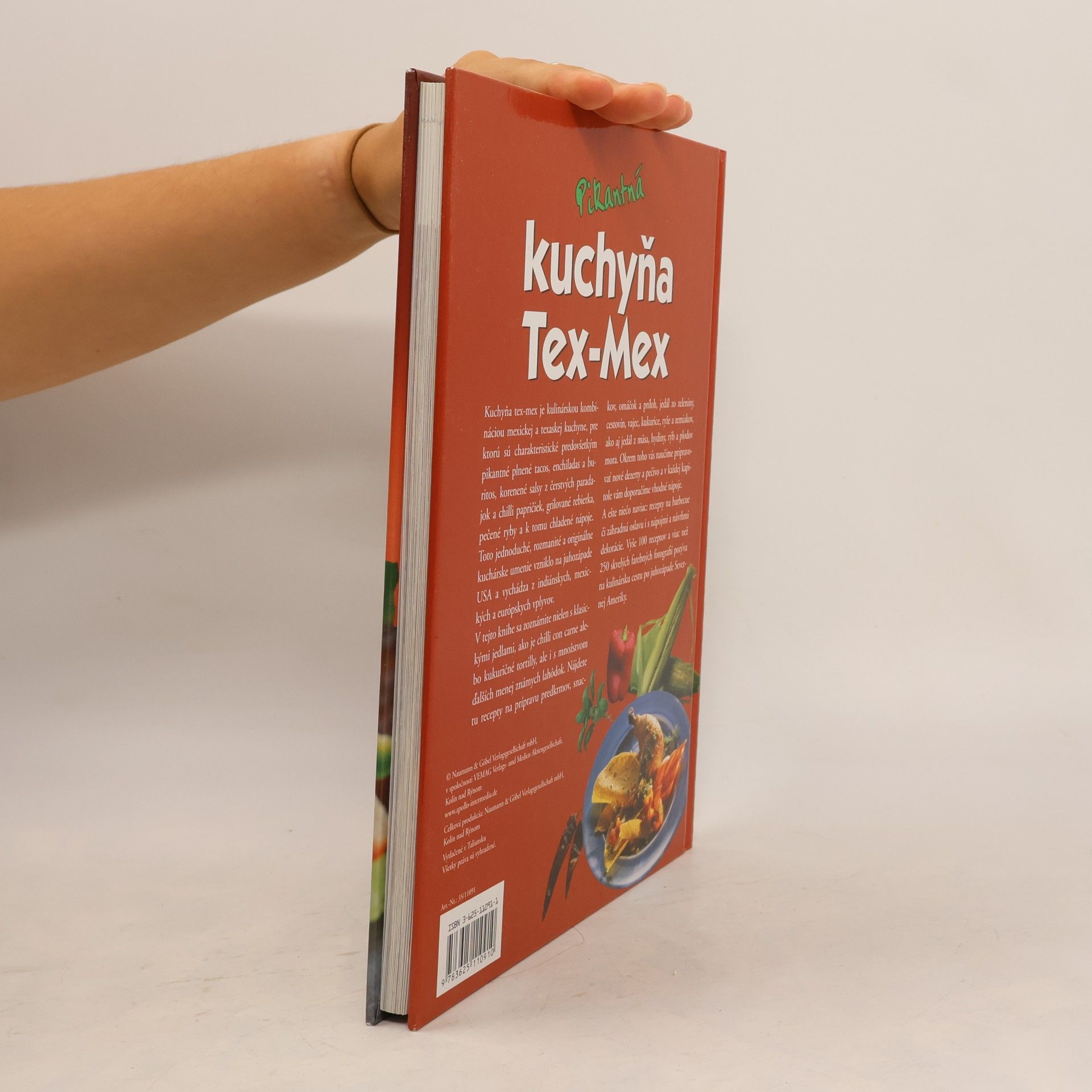Autorenkollektiv Pikantná kuchyňa Tex-Mex