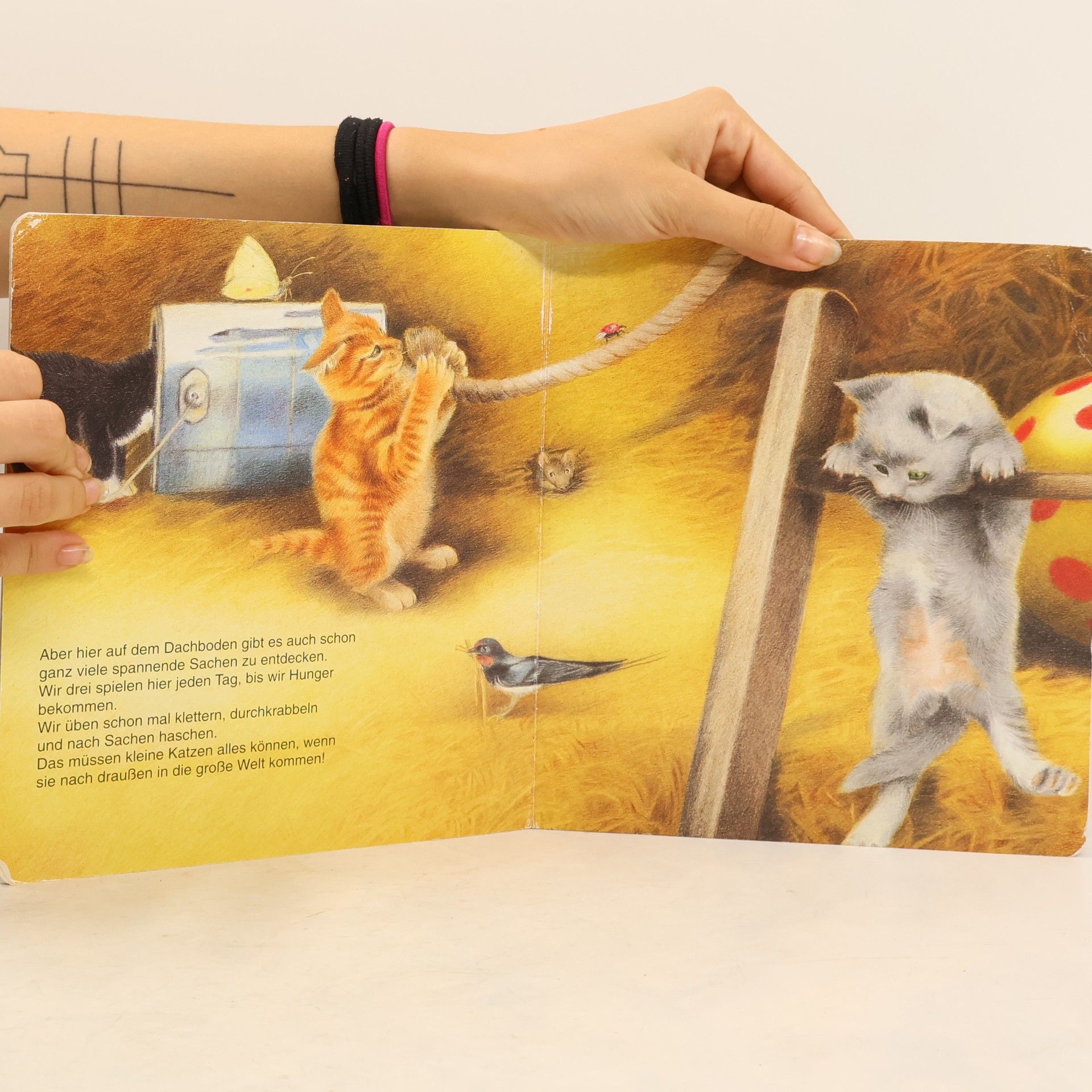 Sabine Dreyer Engels Cara, die kleine Katze