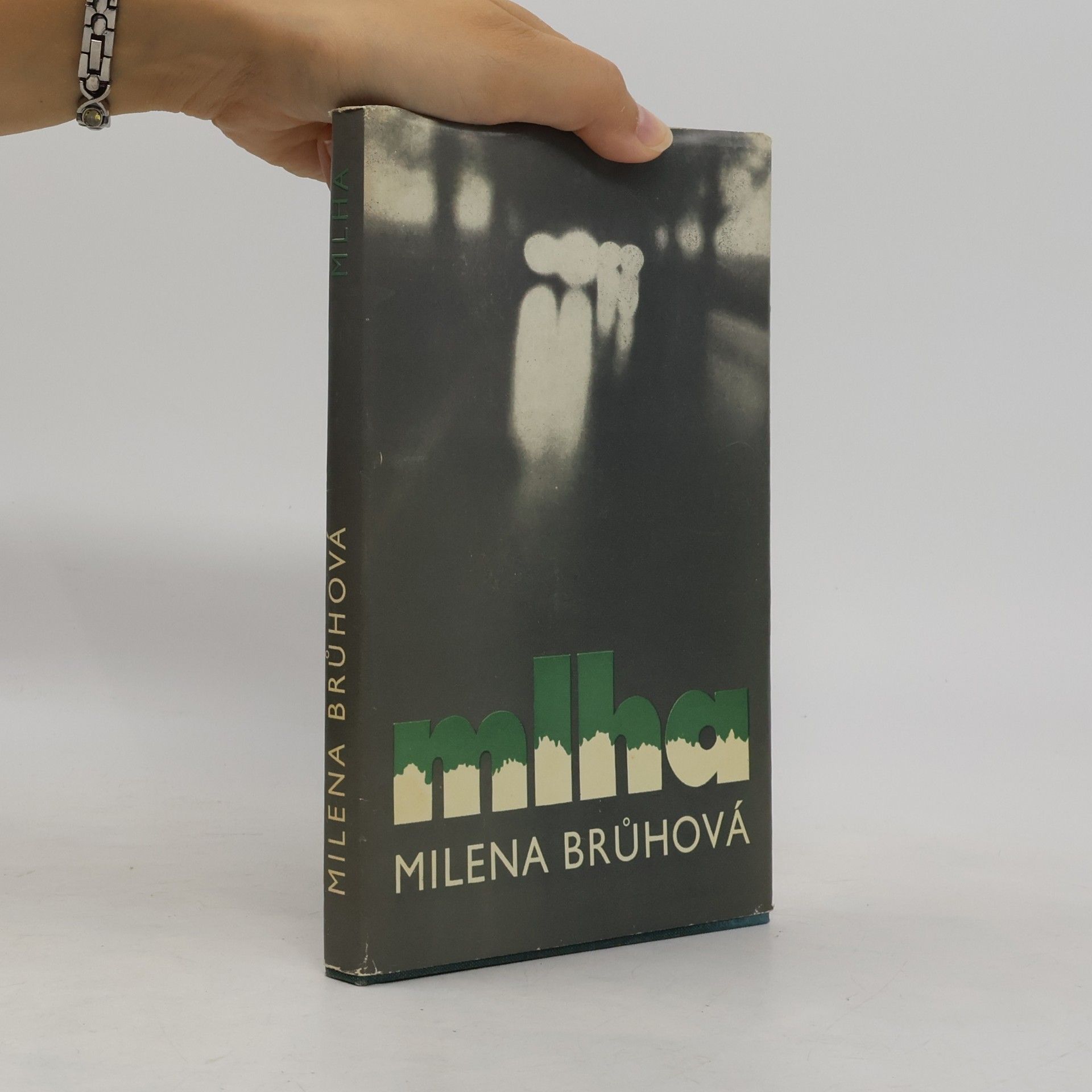Brůhová Milena Mlha
