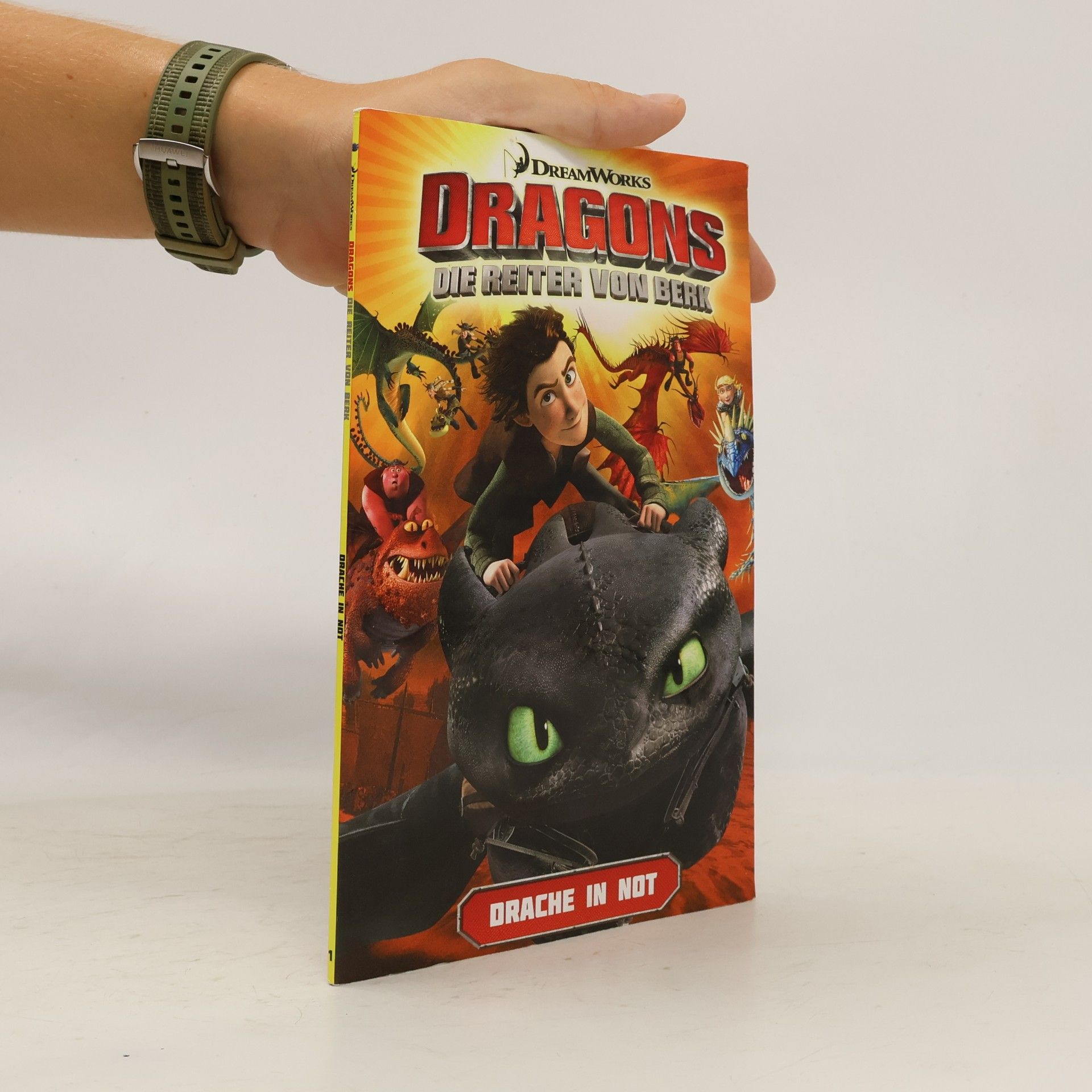 Autorenkollektiv Dragons. Die Reiter von Berk