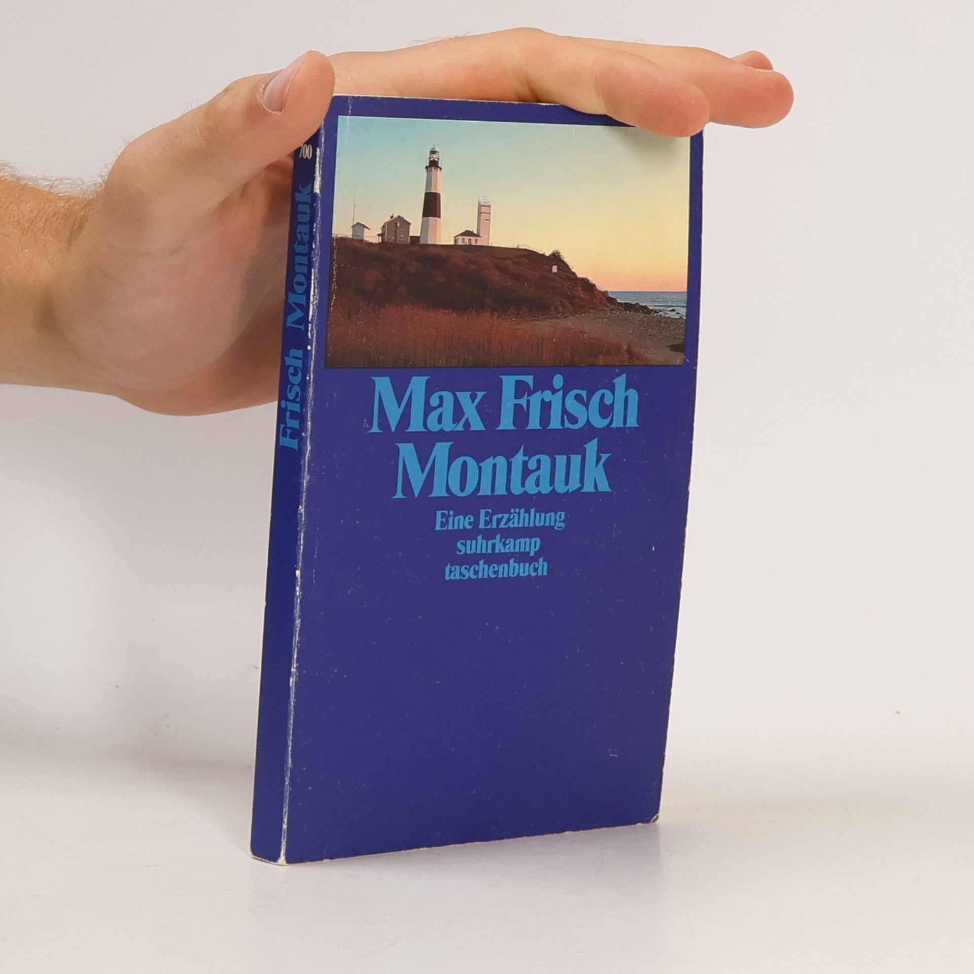 Max Frisch Montauk