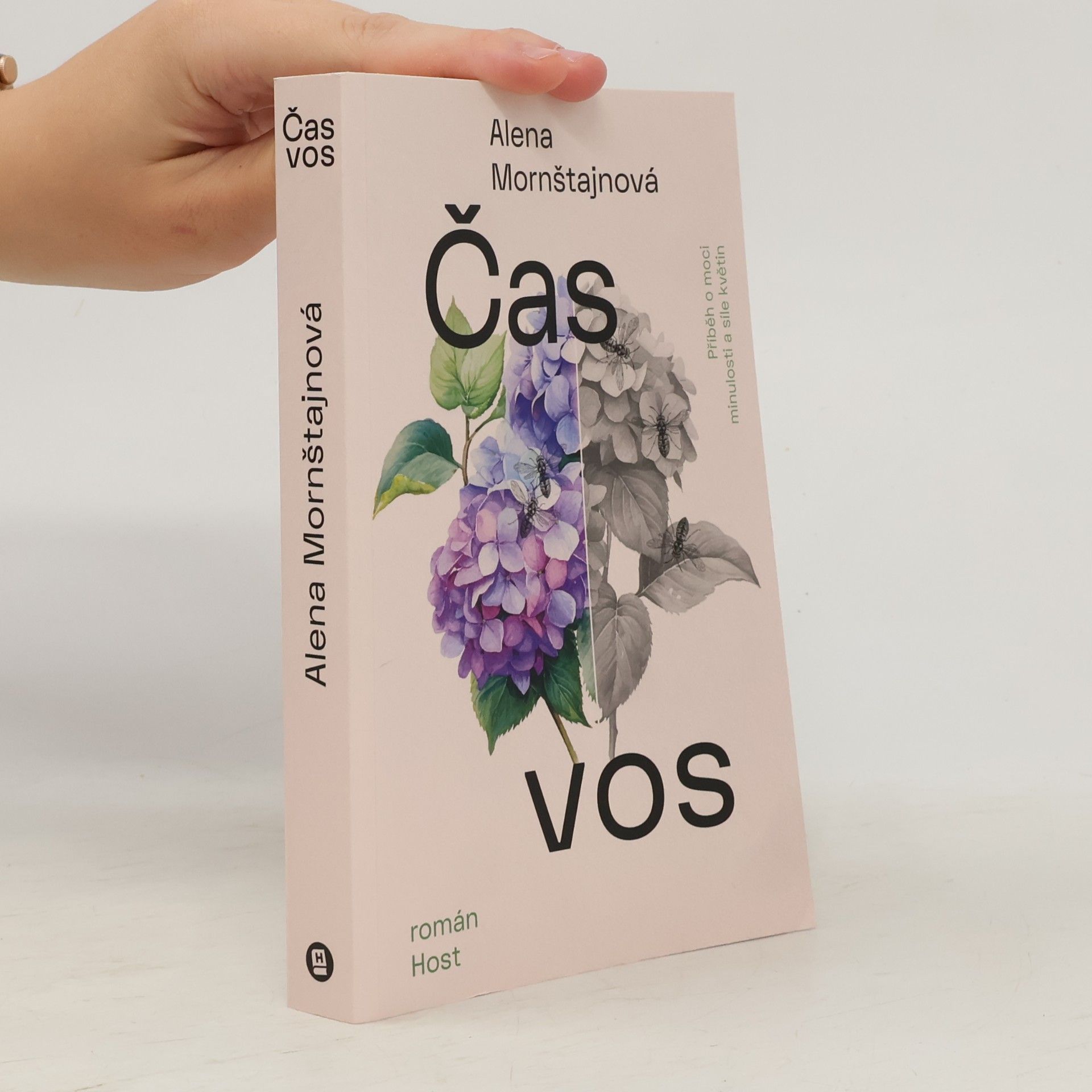 Alena Mornštajnová Čas vos