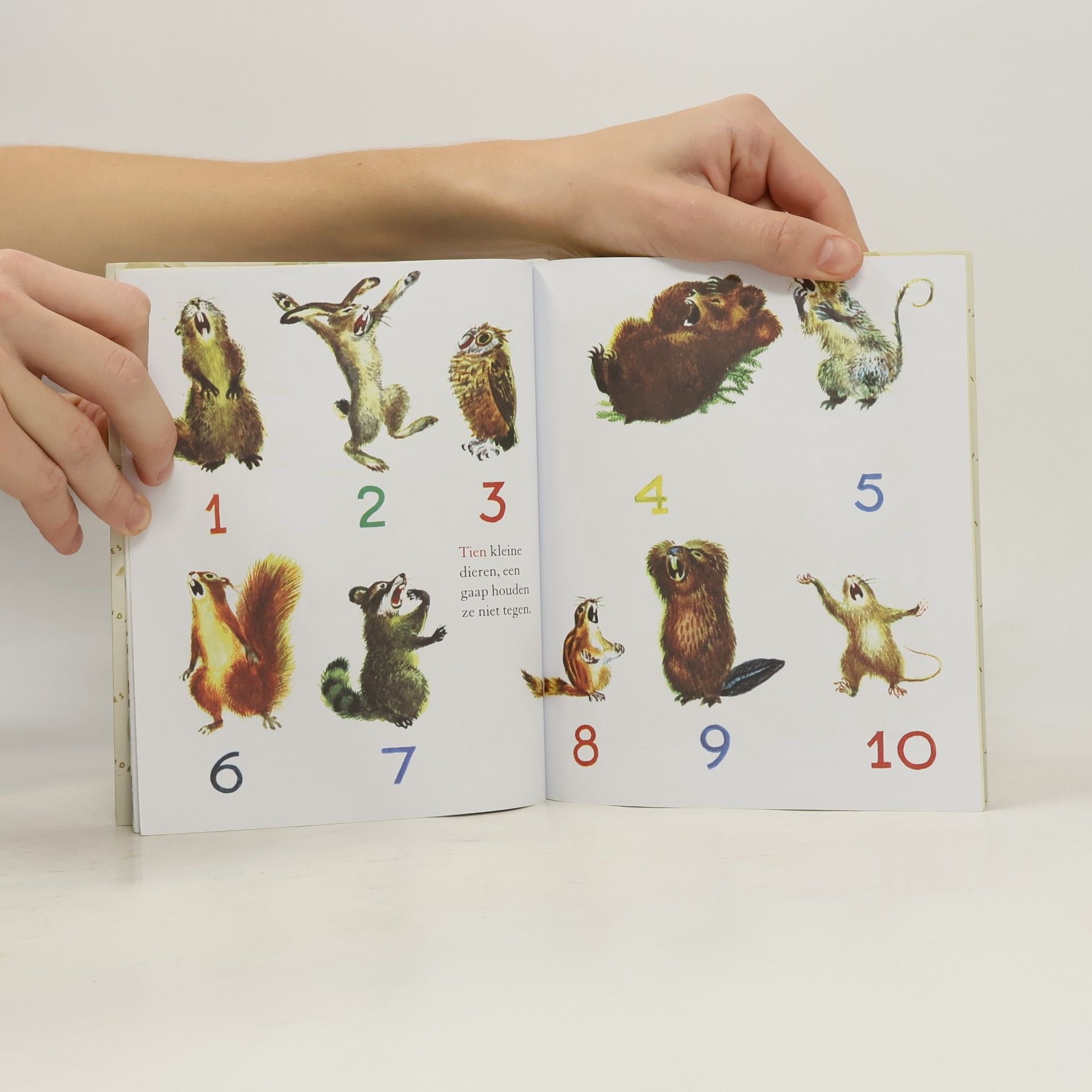 Carl Memling Gouden Boekjes: Tien kleine dieren
