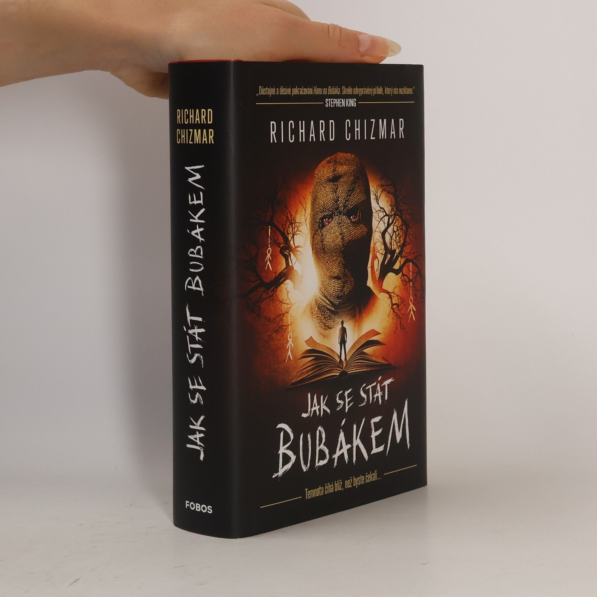 Richard Chizmar Jak se stát Bubákem