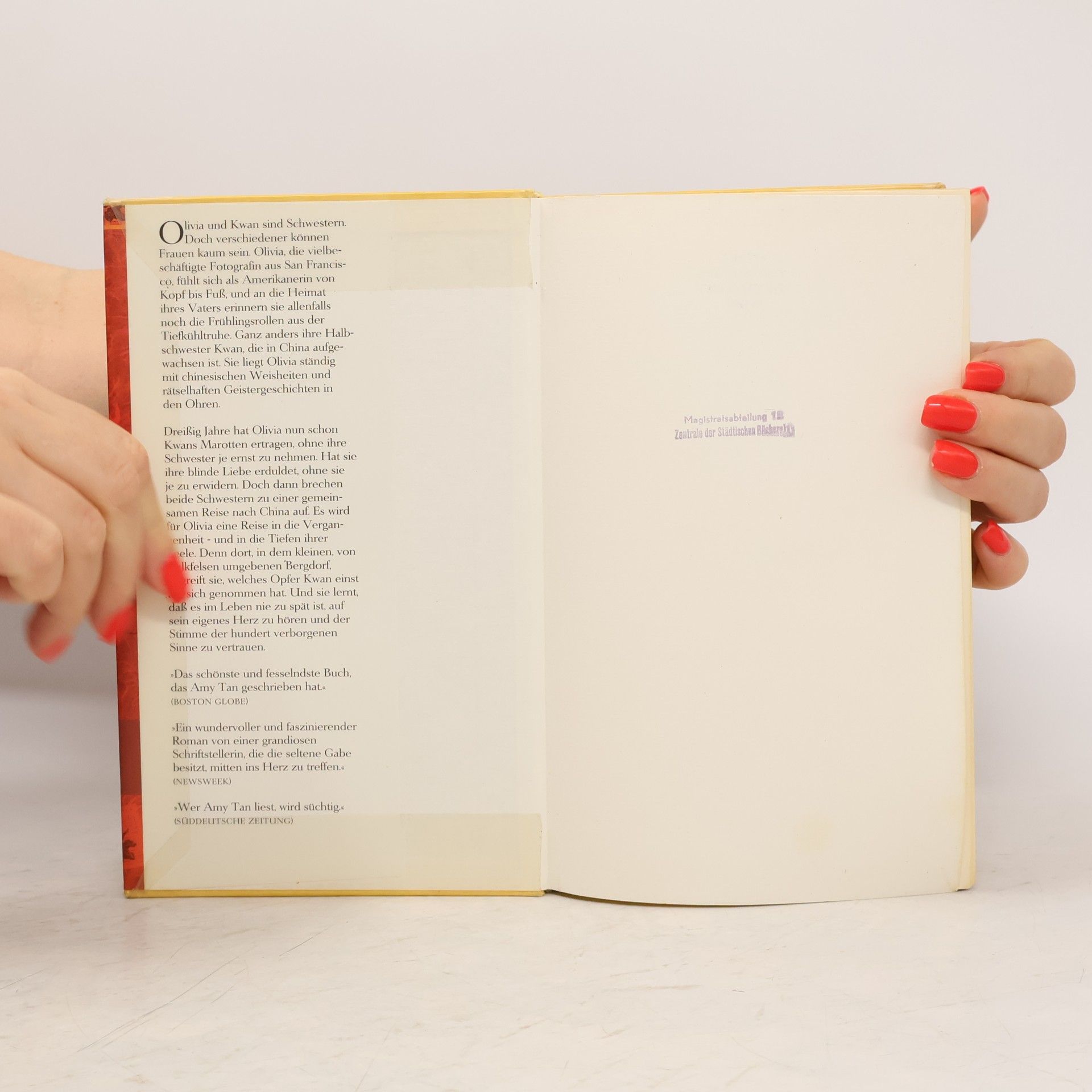 Amy Tan Die hundert verborgenen Sinne