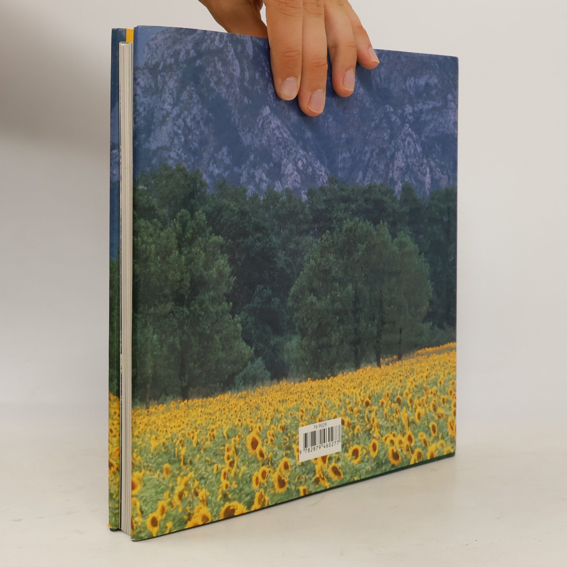 Sonja Bullaty La Provence