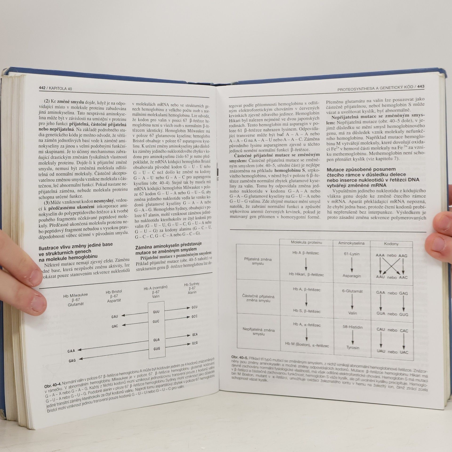 Robert Kincaid Murray Harperova biochemie