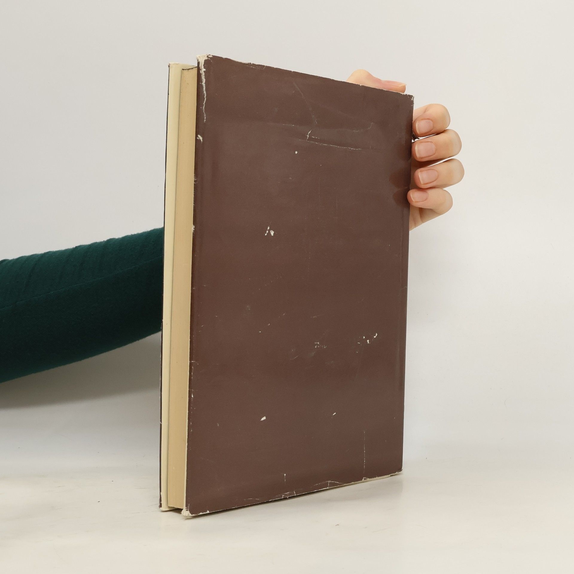 Autorenkollektiv Církev v proměnách času 1918-1968