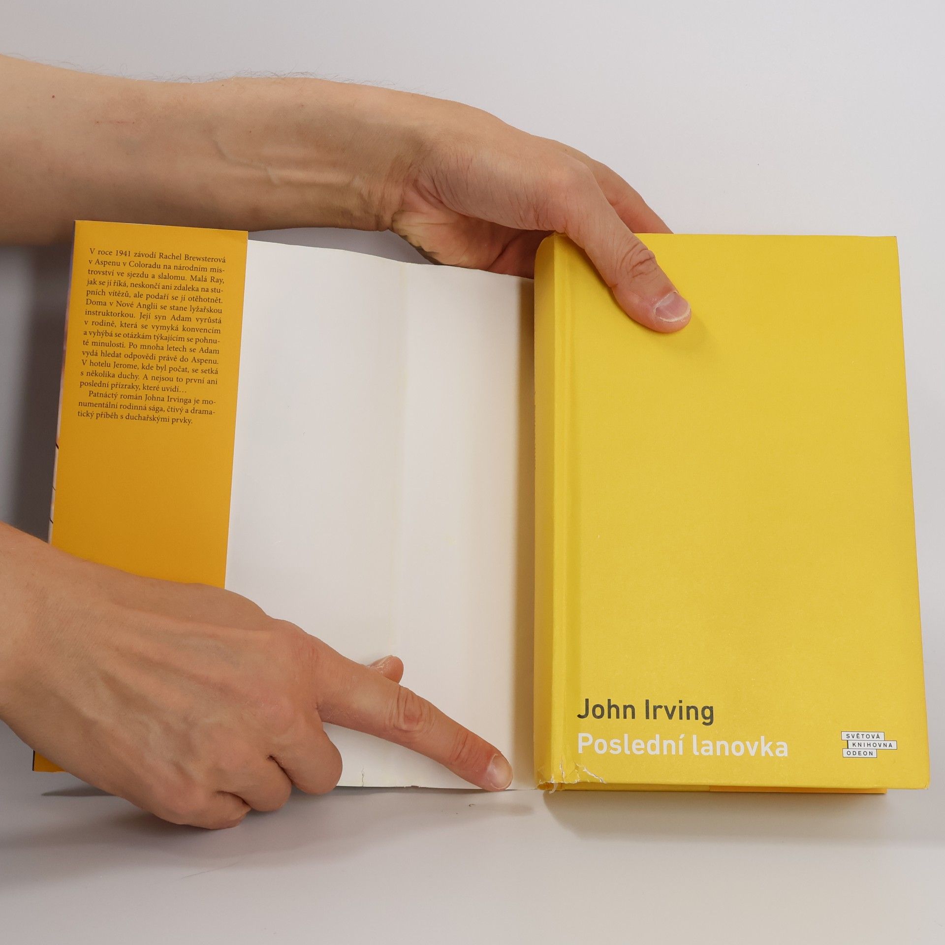 John Irving Poslední lanovka