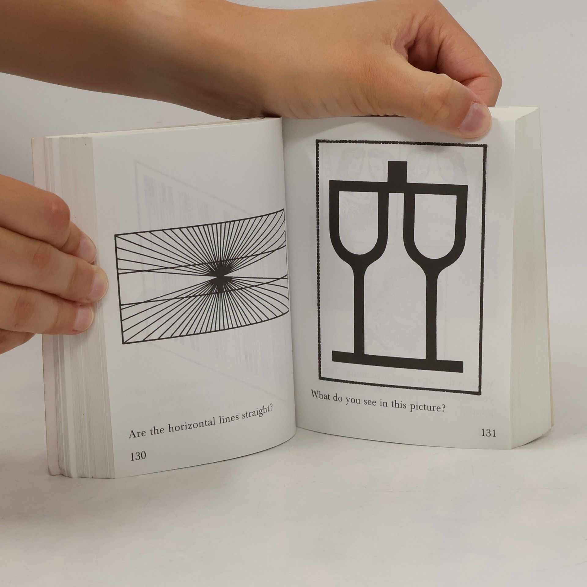 Keith Kay The Little Giant Book of Optical Illusions
