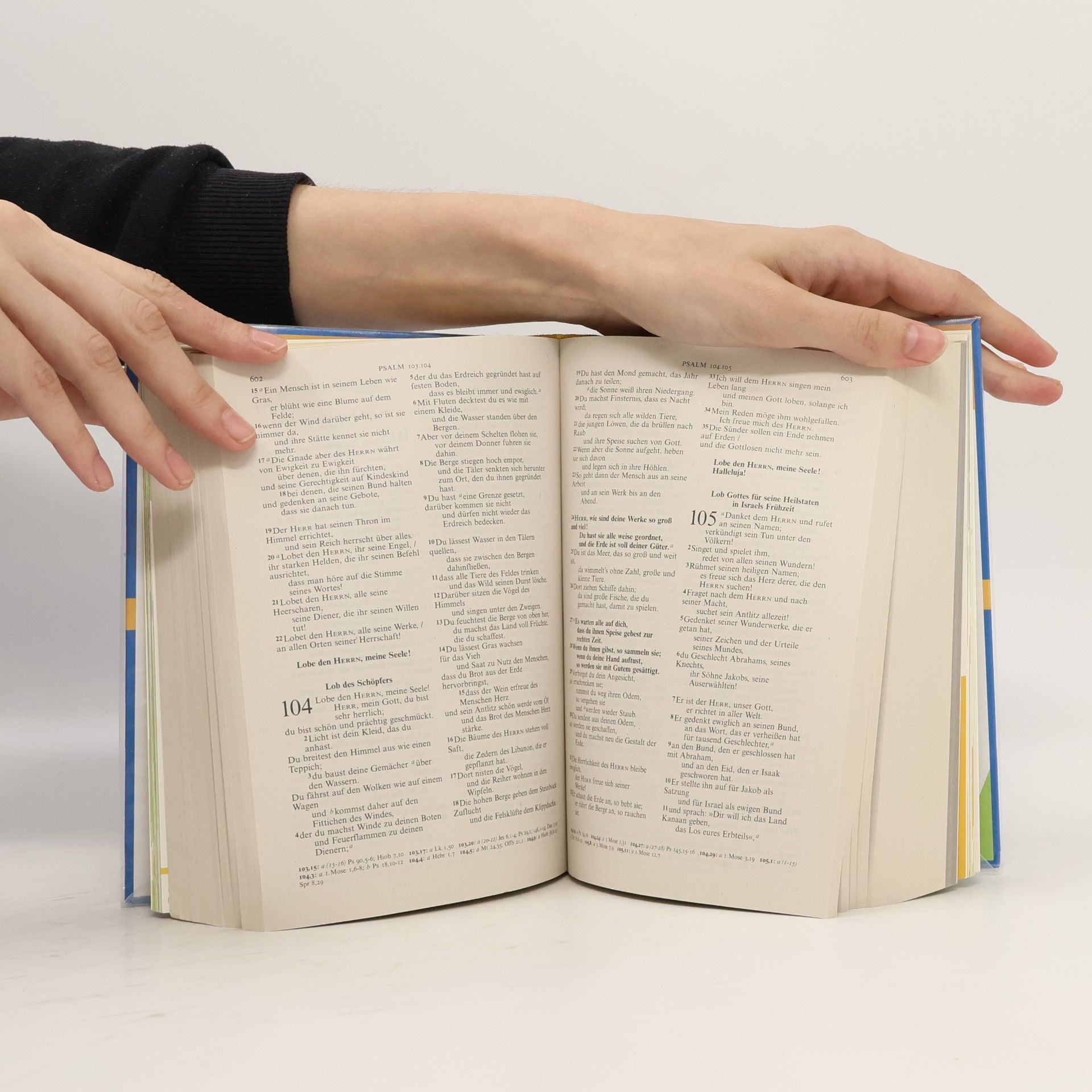 Martin Luther Lutherbibel für dich
