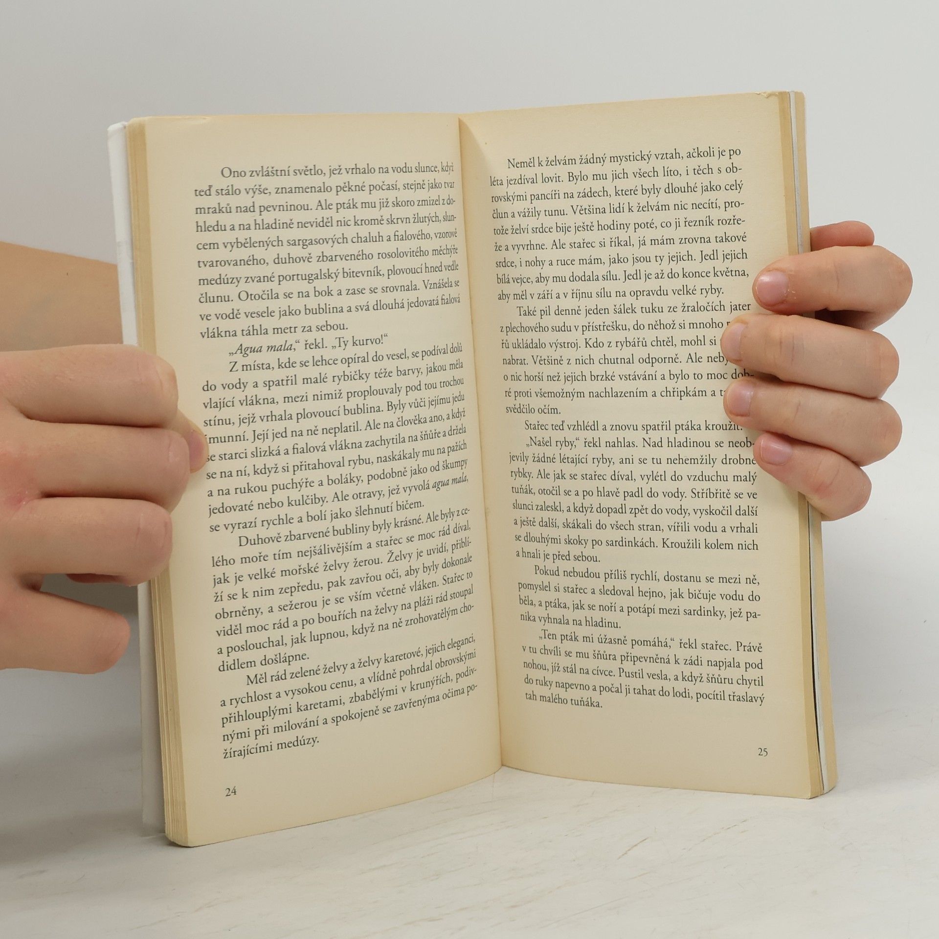 Ernest Hemingway Stařec a moře