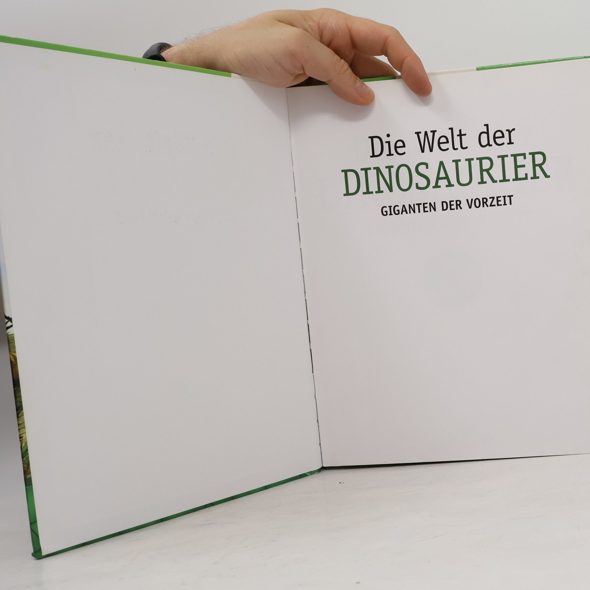 Fabio Marco Della Vecchia Die Welt der Dinosaurier