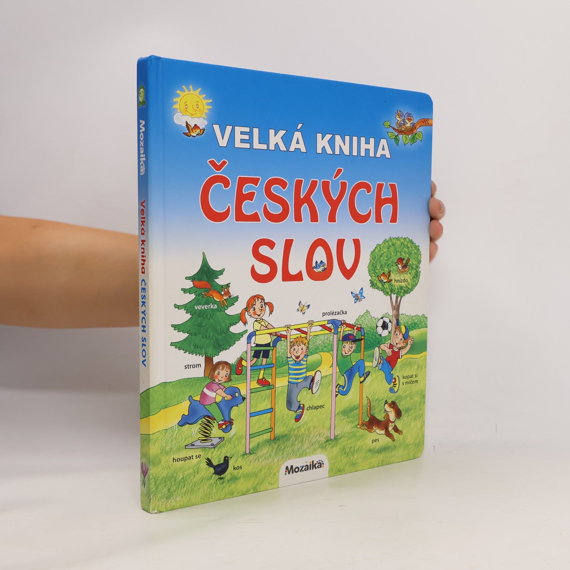 Velká kniha českých slov