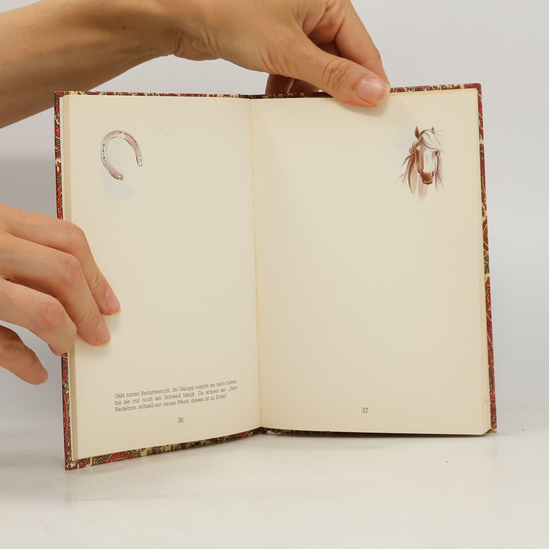 Mein Pferdetagebuch