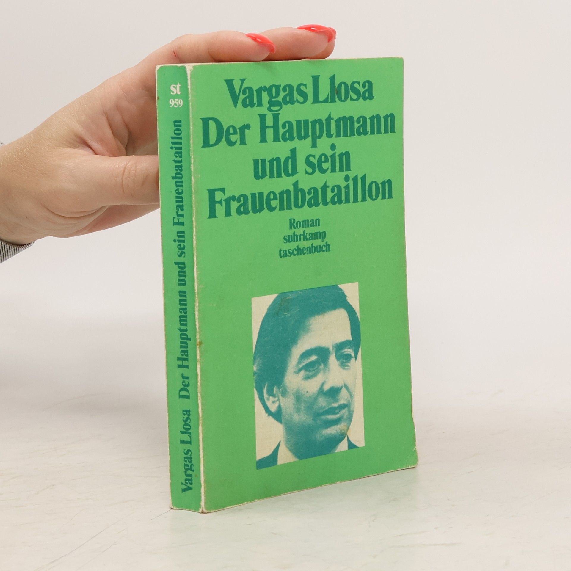 Mario Vargas Llosa Der Hauptmann und sein Frauenbataillon