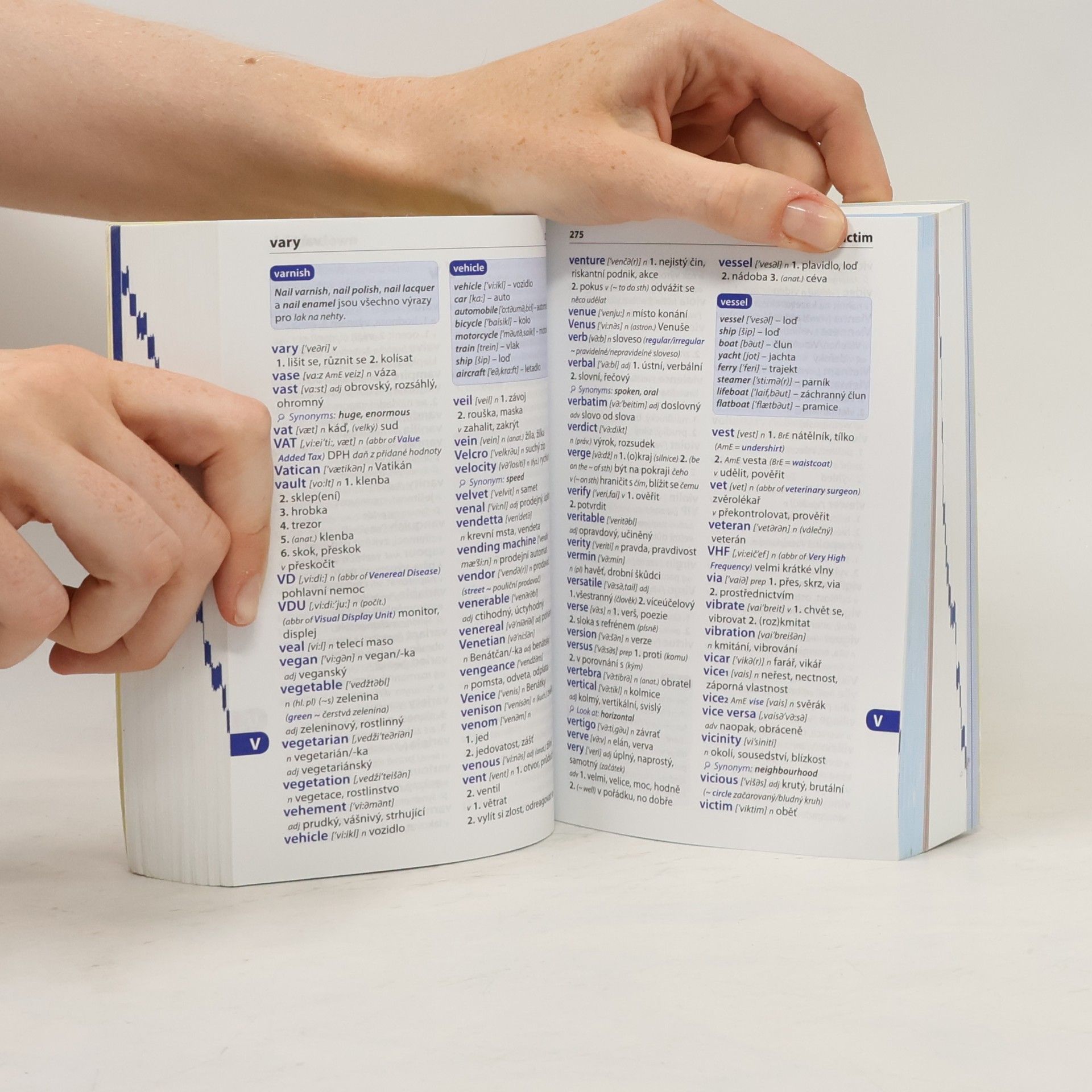 Autorenkollektiv Anglický maturitní slovník : anglicko-český, česko-anglický Maturitní slovník