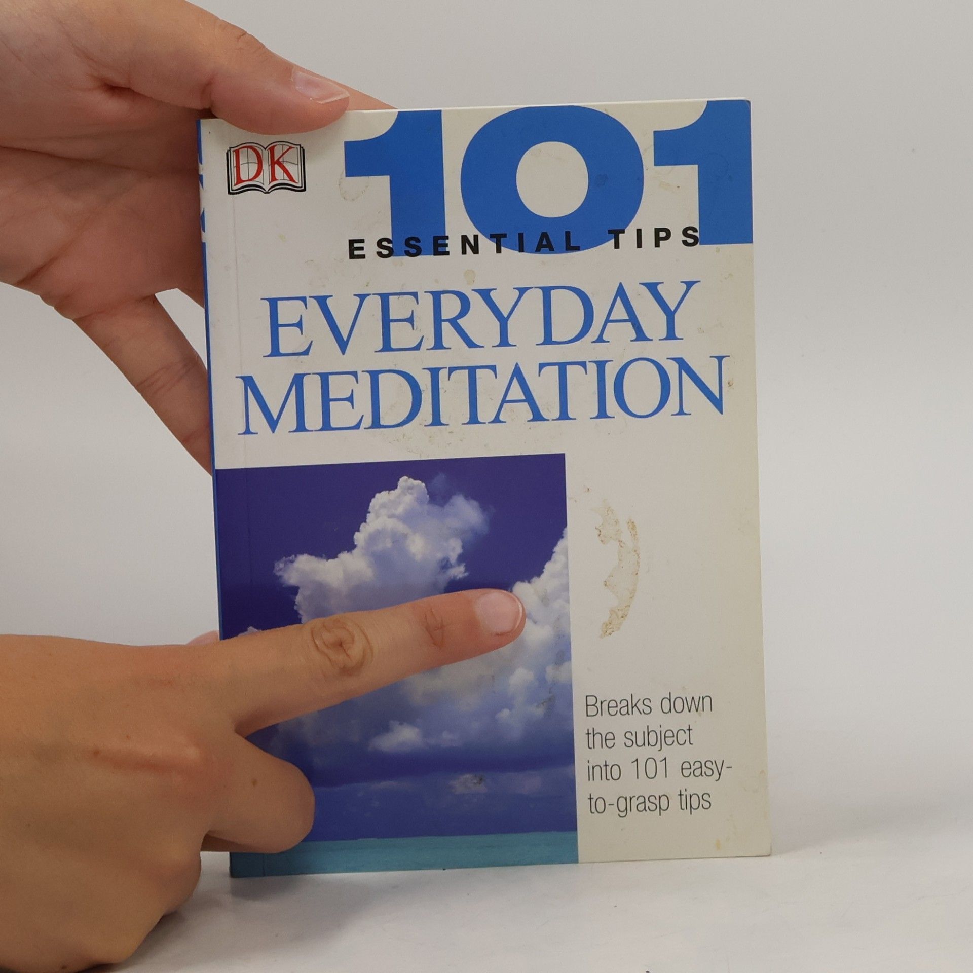 Naomi Ozaniec Everyday Meditation
