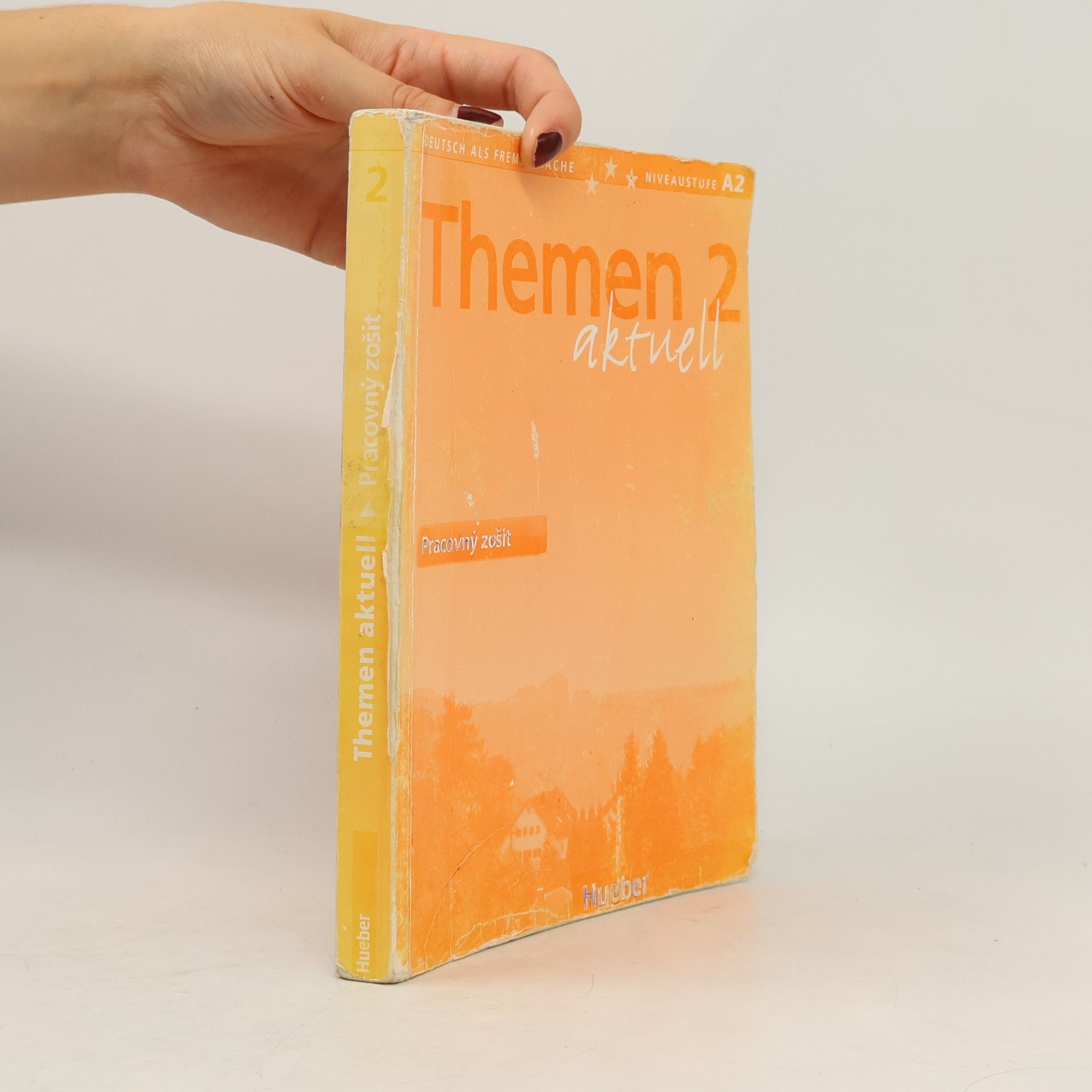 Themen aktuell 2 : pracovní sešit