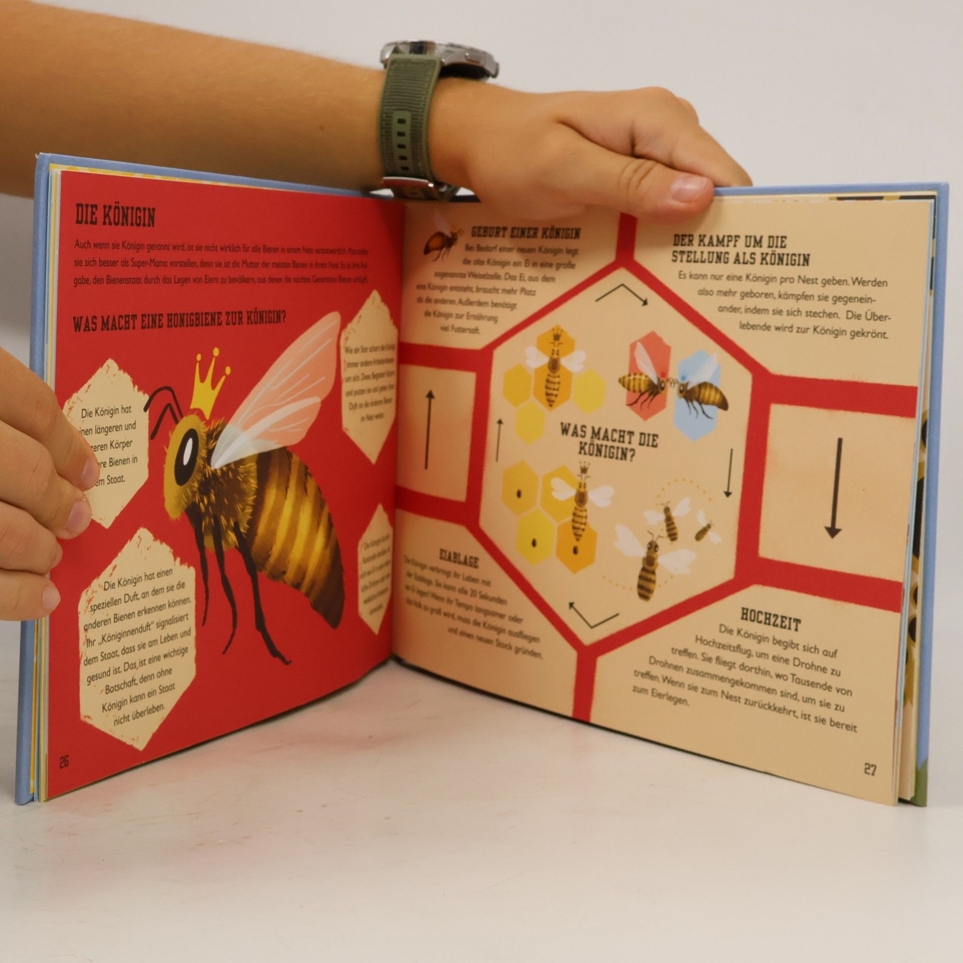 Charlotte Milner Das Buch der Bienen