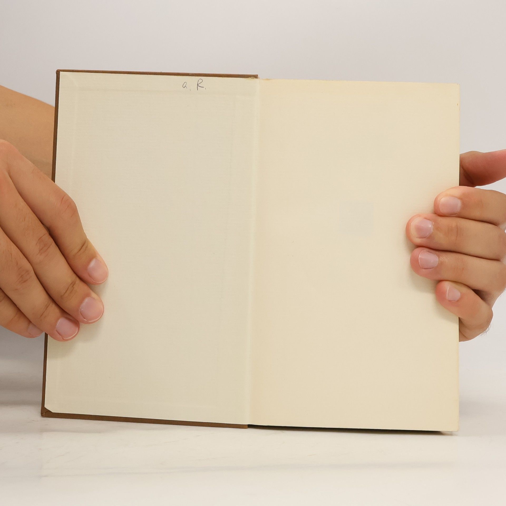 Thomas Mann Joseph und seine Brüder