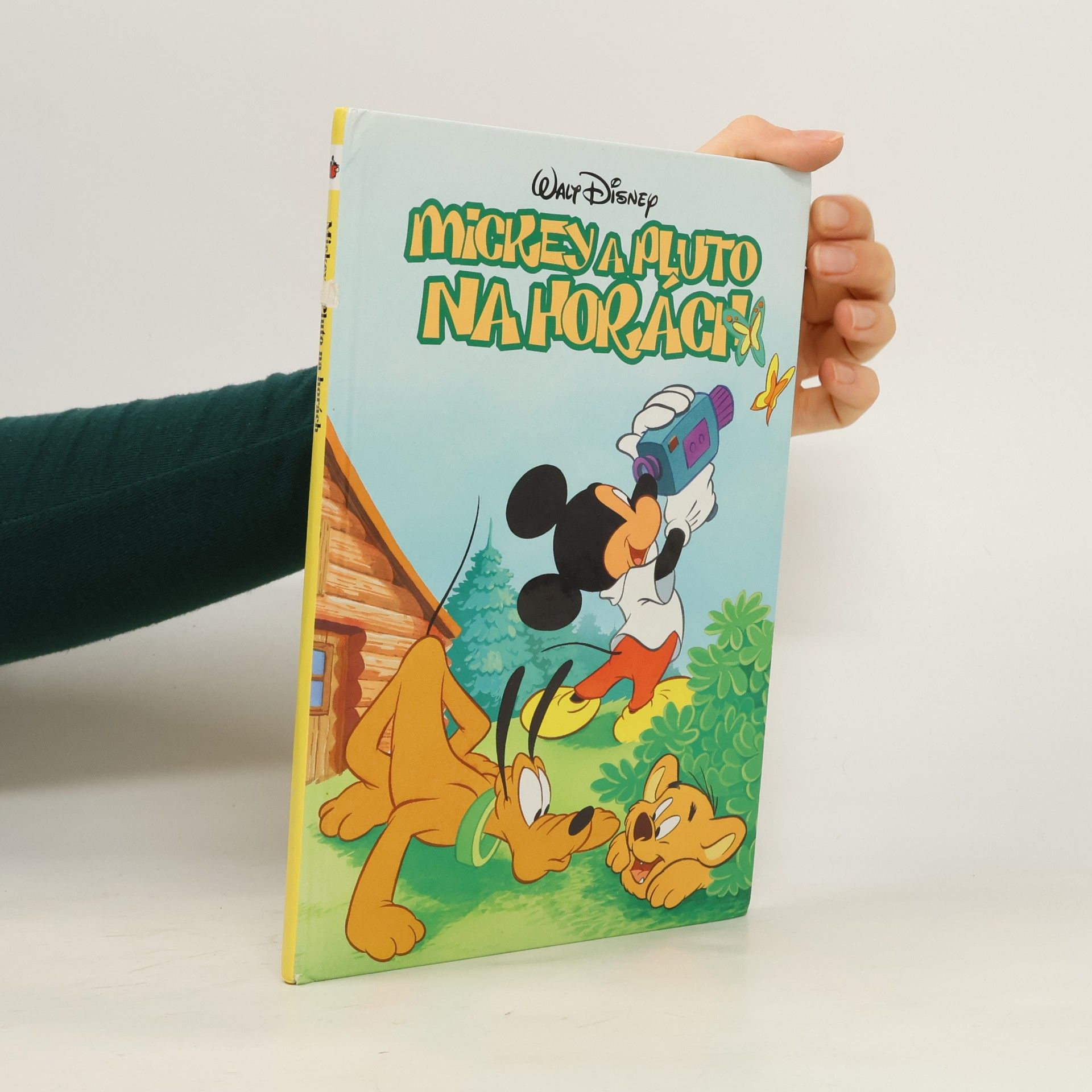 Petra Křížová Mickey a Pluto na horách