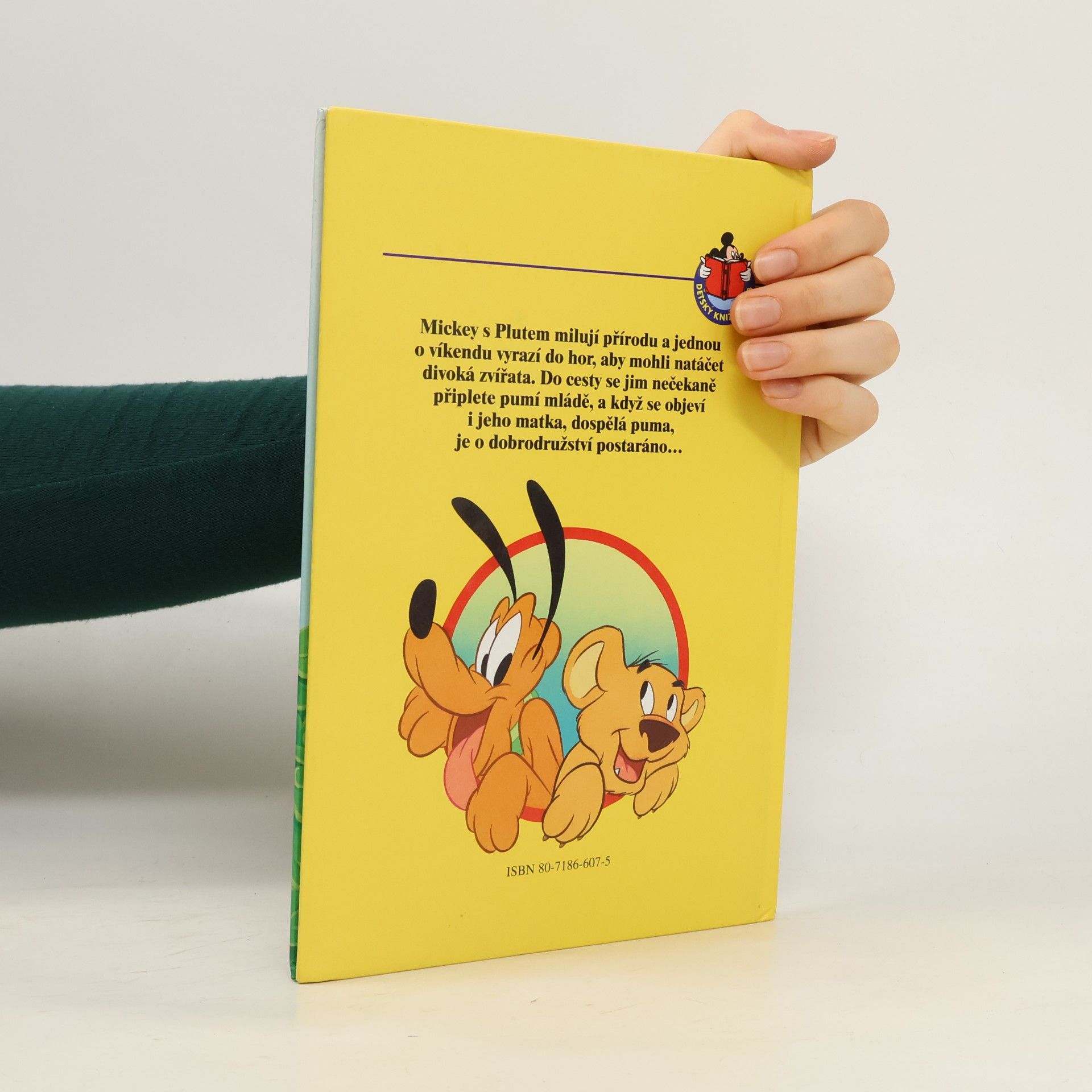 Petra Křížová Mickey a Pluto na horách