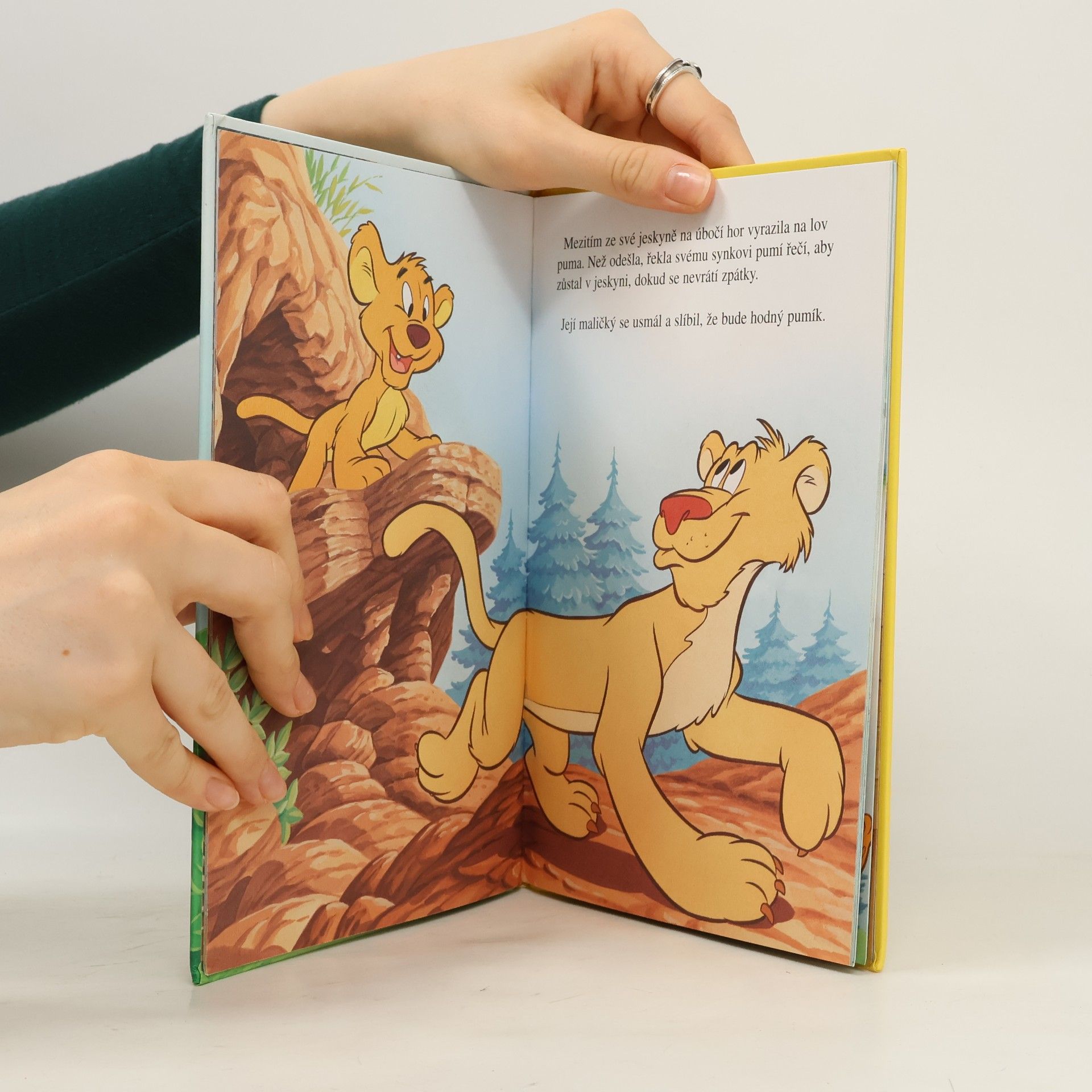 Petra Křížová Mickey a Pluto na horách