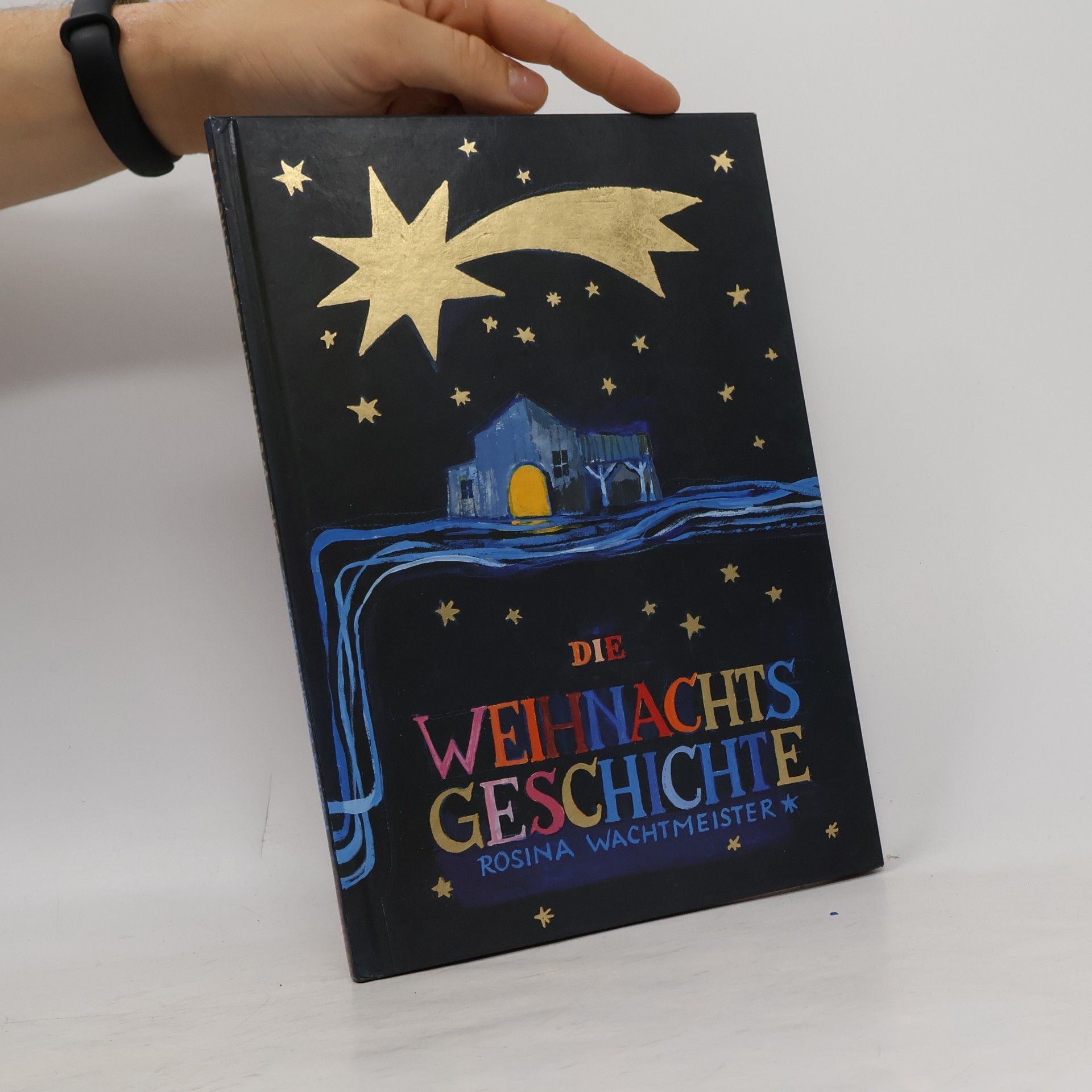 Rosina Wachtmeister Die Weihnachtsgeschichte