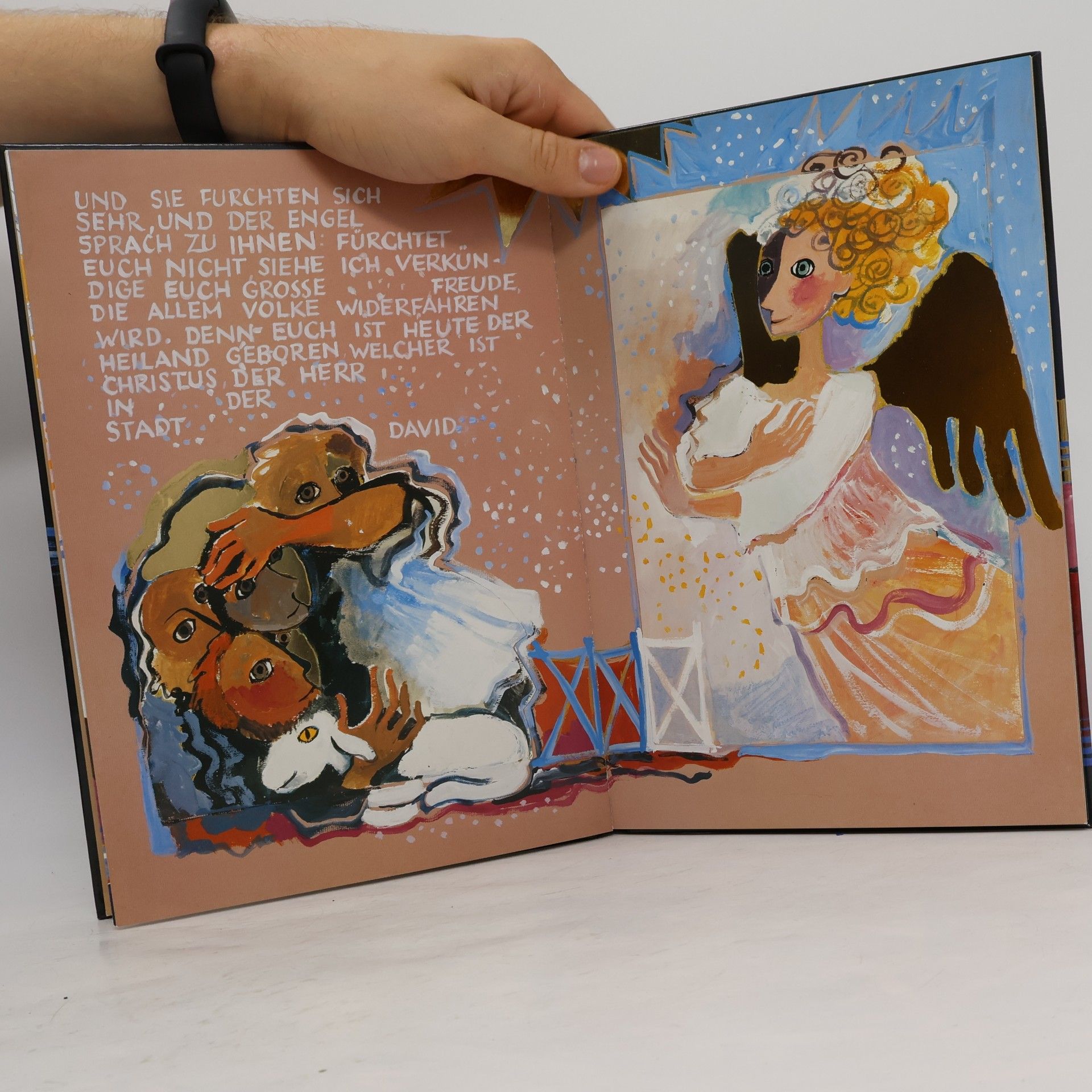 Rosina Wachtmeister Die Weihnachtsgeschichte