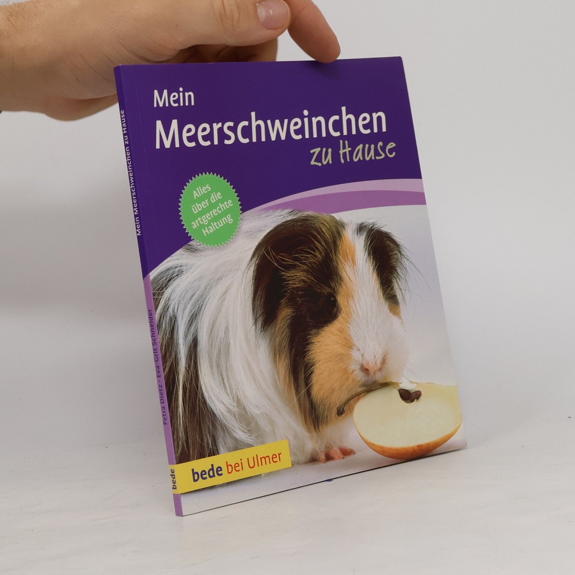Eva-Grit Schneider Mein Meerschweinchen zu Hause