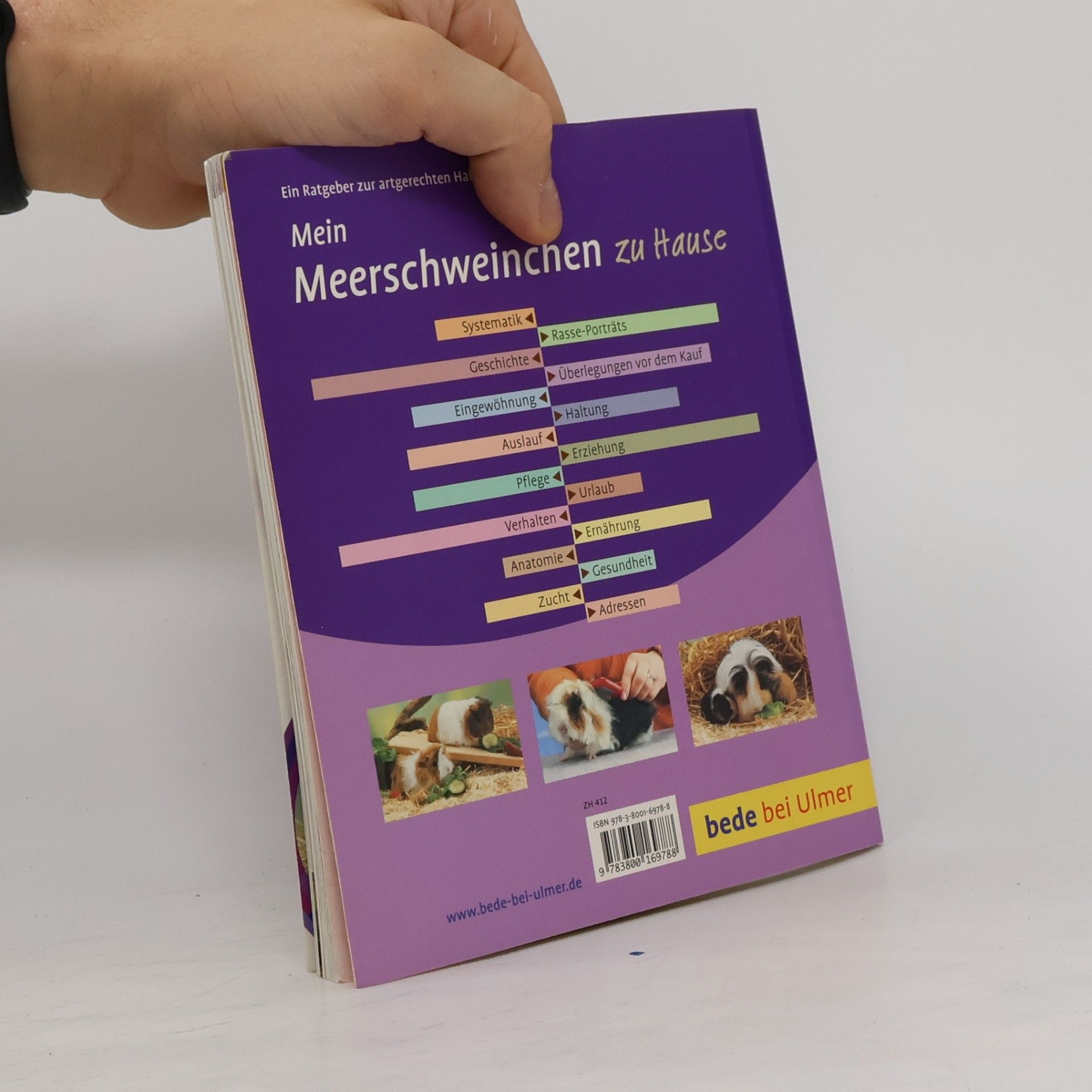 Petra Dietz Mein Meerschweinchen zu Hause