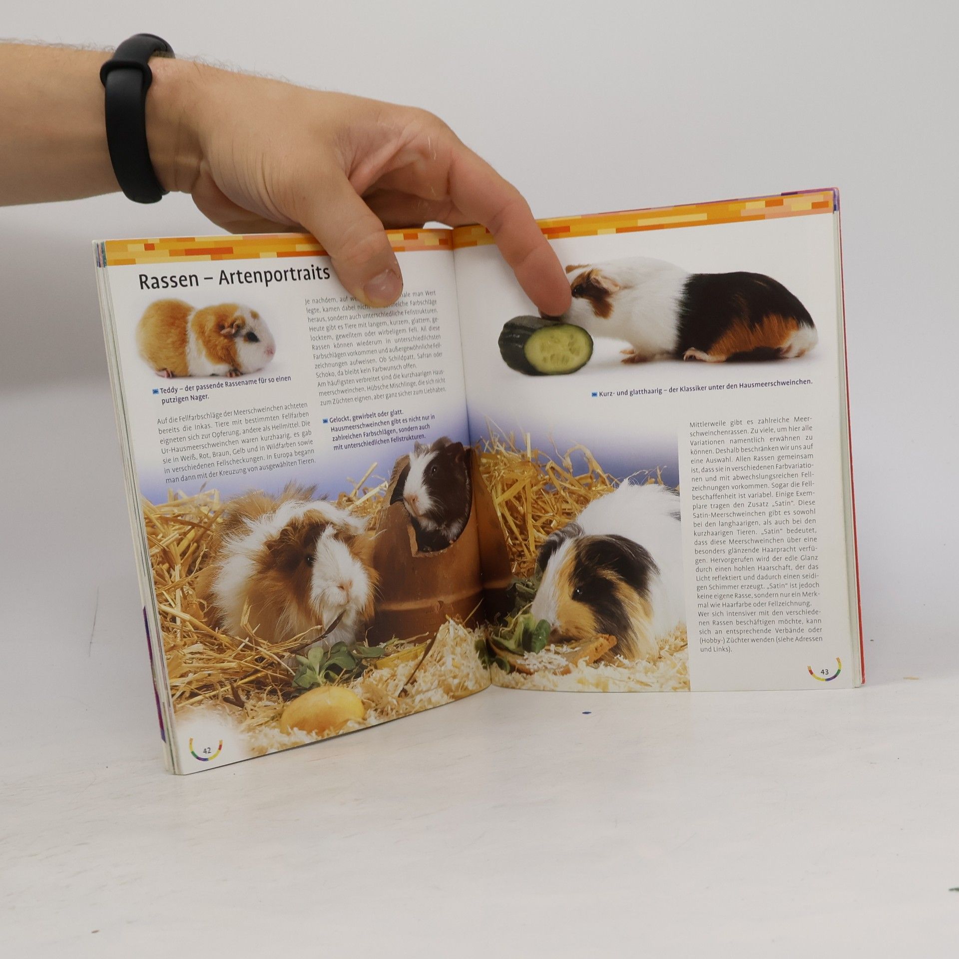 Petra Dietz Mein Meerschweinchen zu Hause
