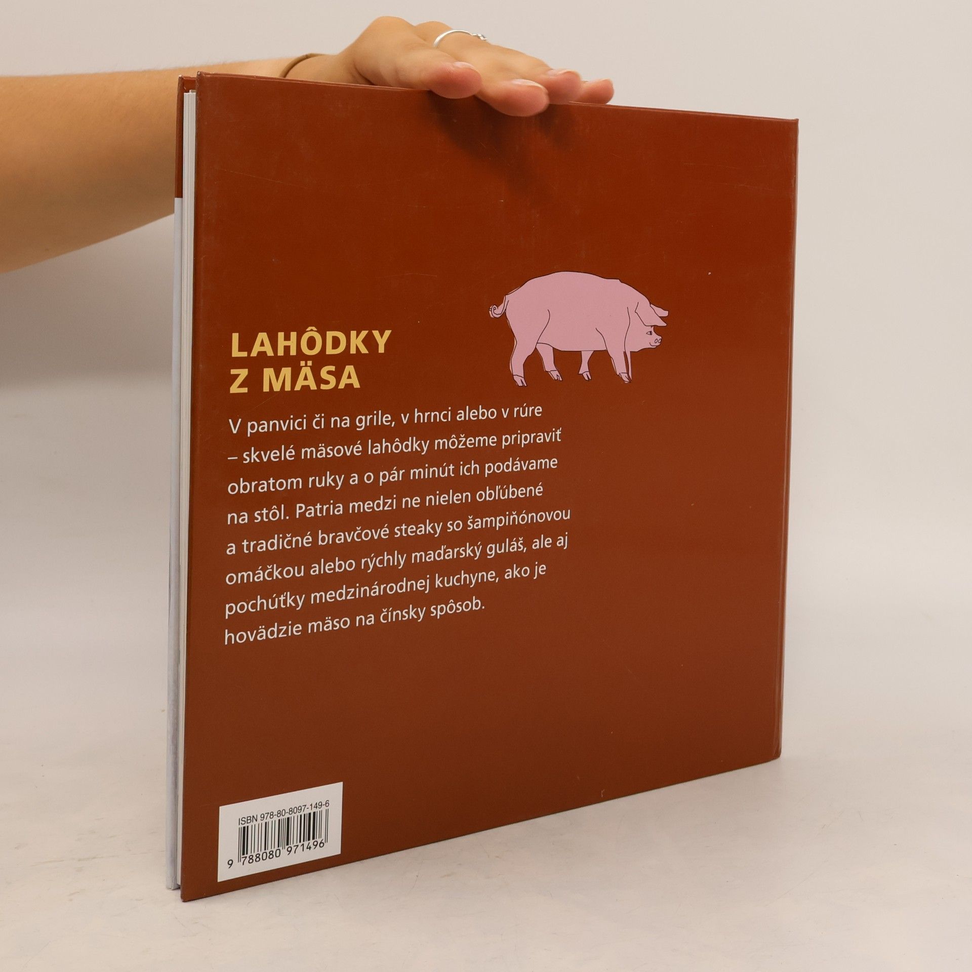 Autorenkollektiv Lahôdky z mäsa