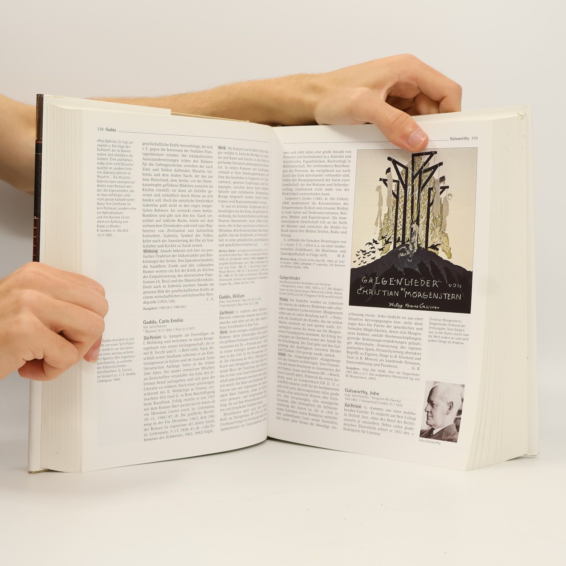 Berthold Budde Harenberg, Literaturlexikon