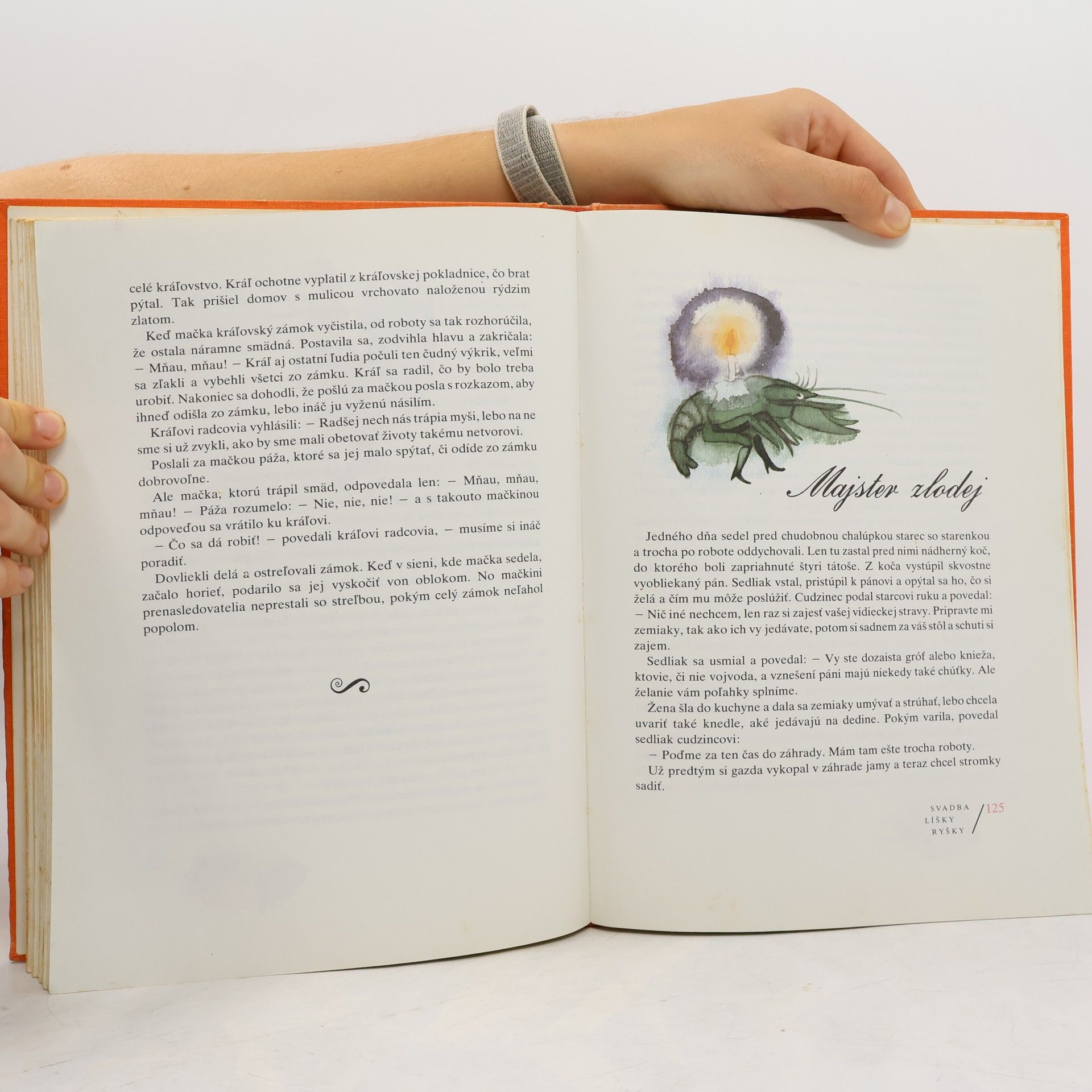 Jacob Grimm Svadba líšky Ryšky