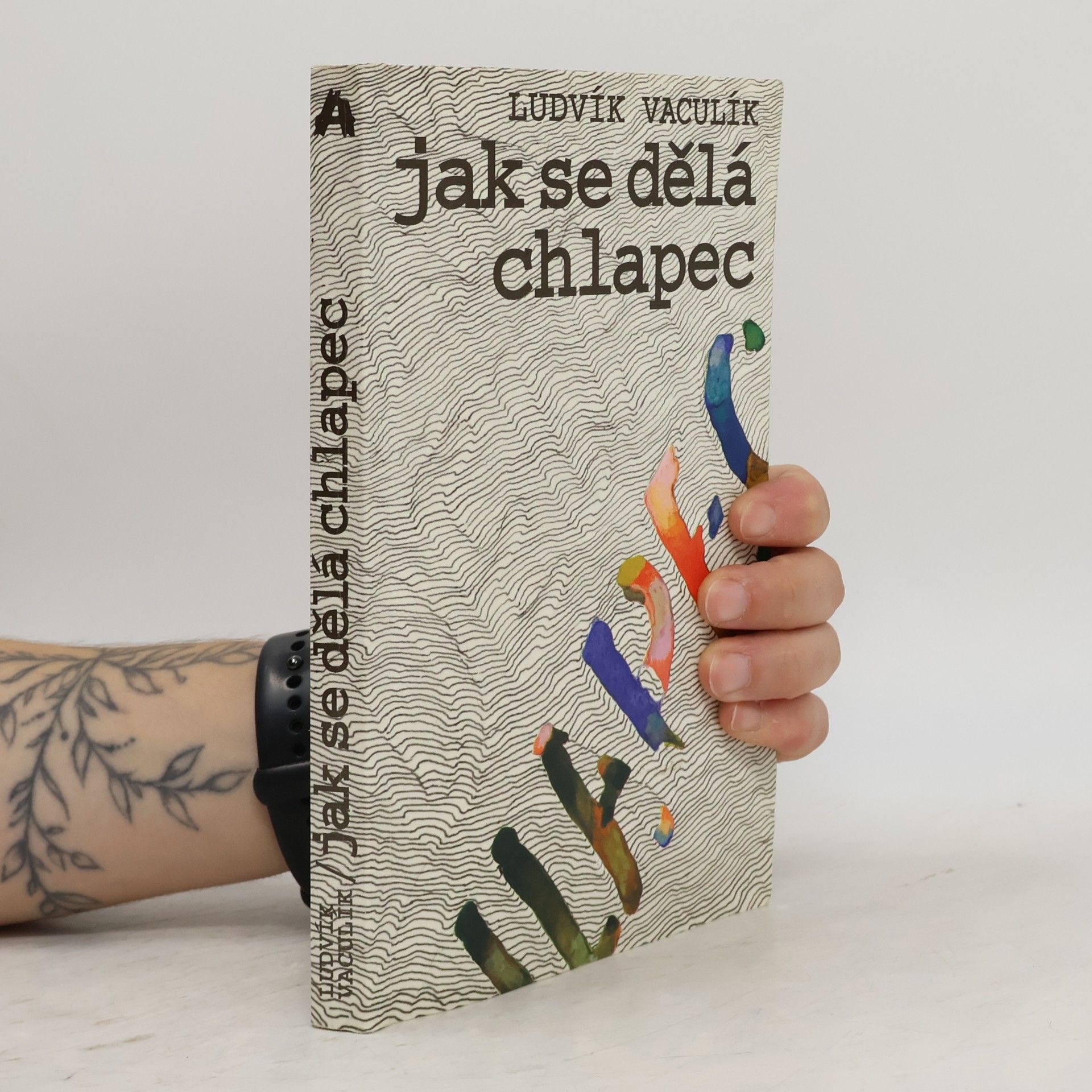 Ludvík Vaculík Jak se dělá chlapec