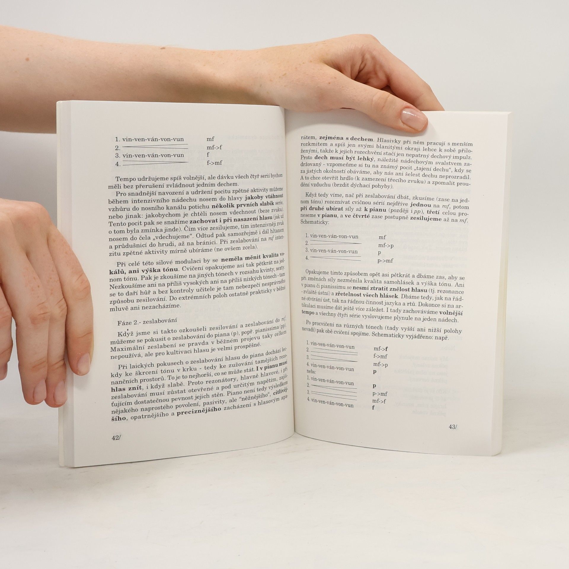 Vlastimil Strahl Novinář před mikrofonem. O mluveném slovu
