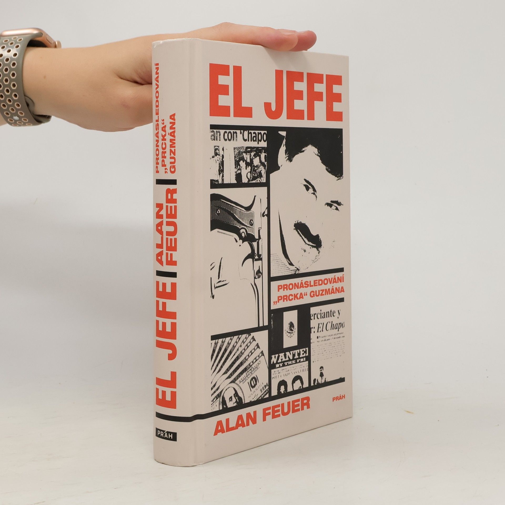 Alan Feuer El Jefe : pronásledování "prcka" Guzmána